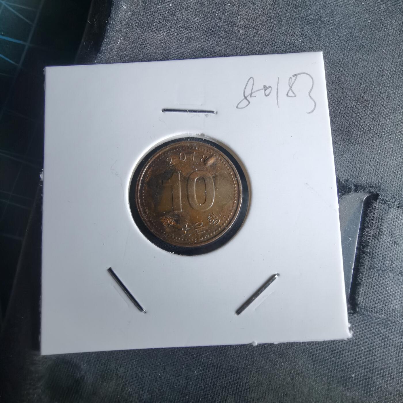 沼泽如烟--第980场