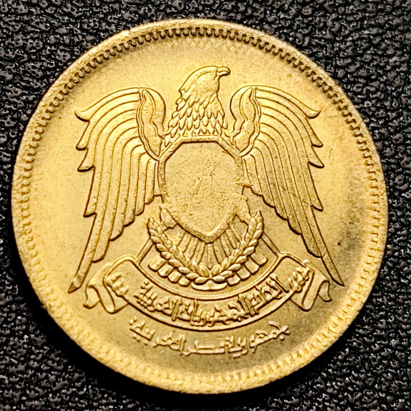 泉币菌-第179场- 精品福利场