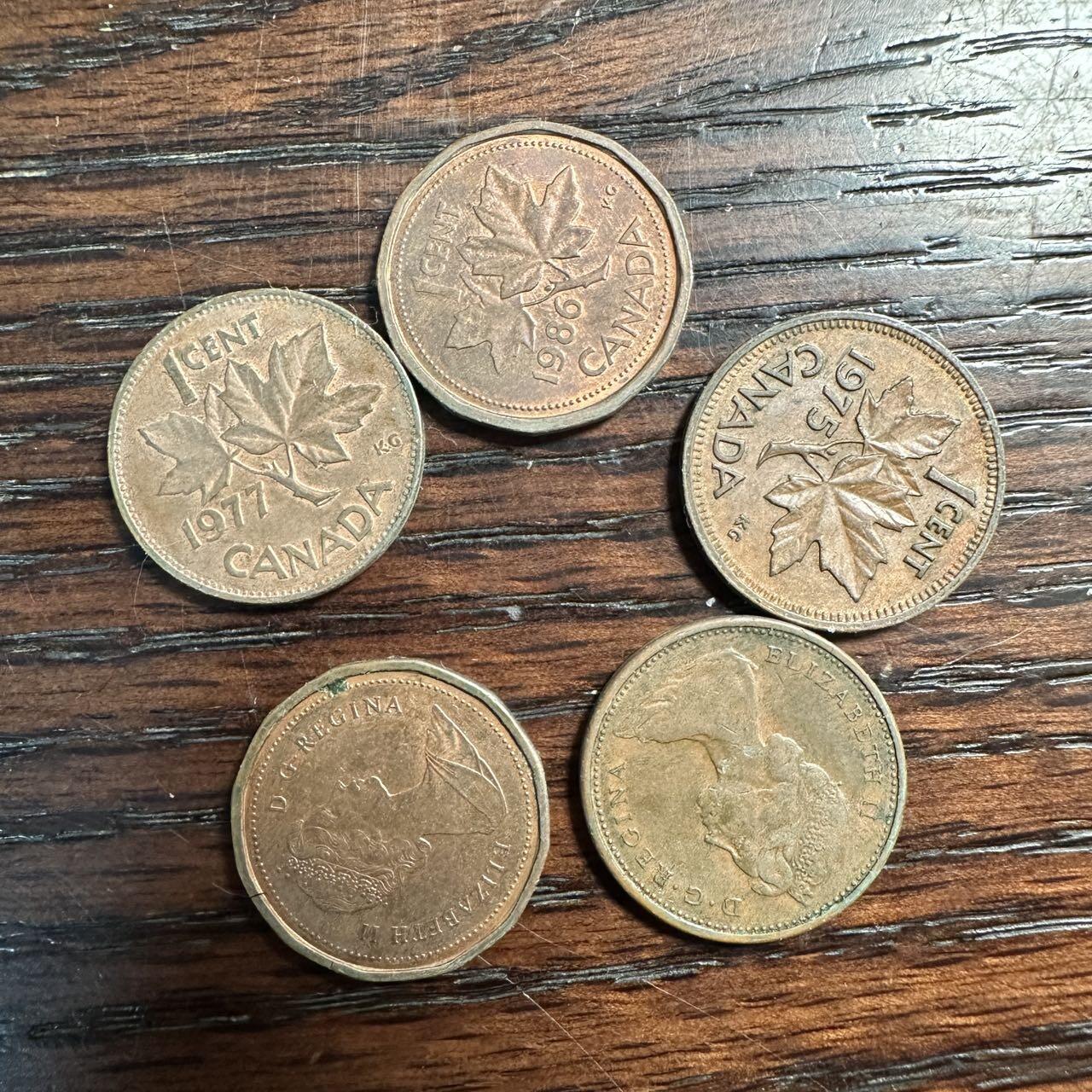 蒂克钱币-第58场 外国散币 奥运/博览会纪念章免佣限时拍 加拿大 枫叶1分 五枚