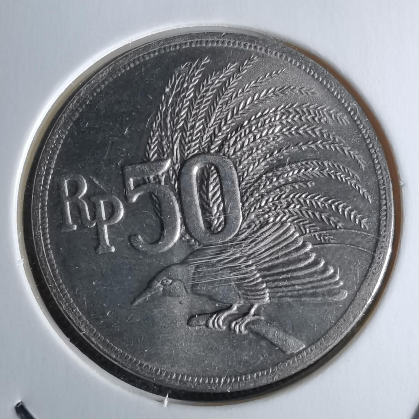 沼泽如烟--第979场