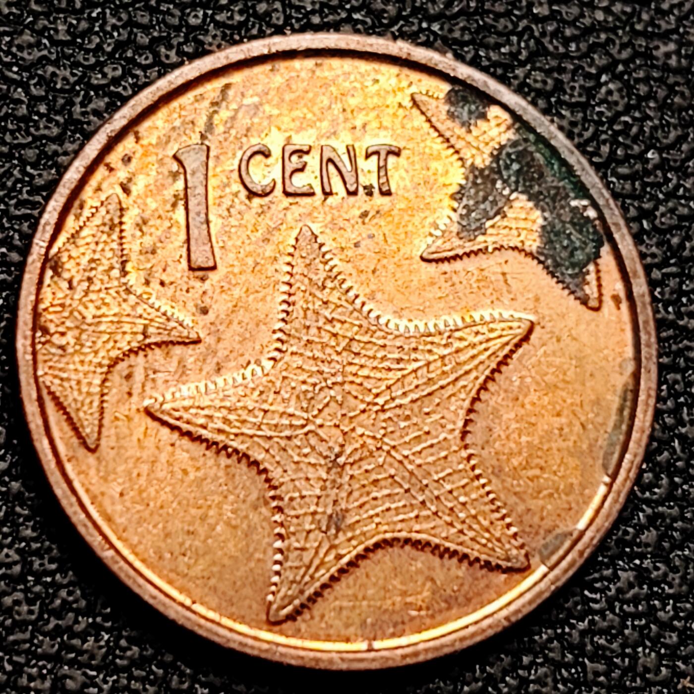 泉币菌-第179场- 精品福利场