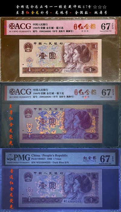 801至尊红金龙补号 - 801至尊红金龙补号