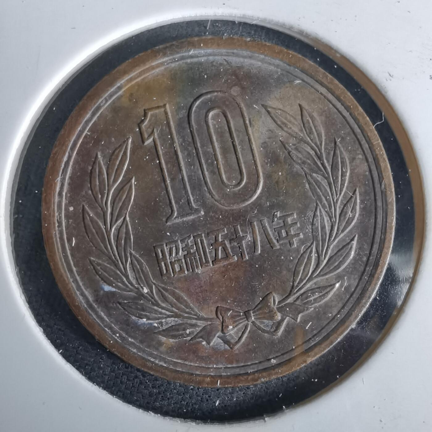 沼泽如烟--第980场