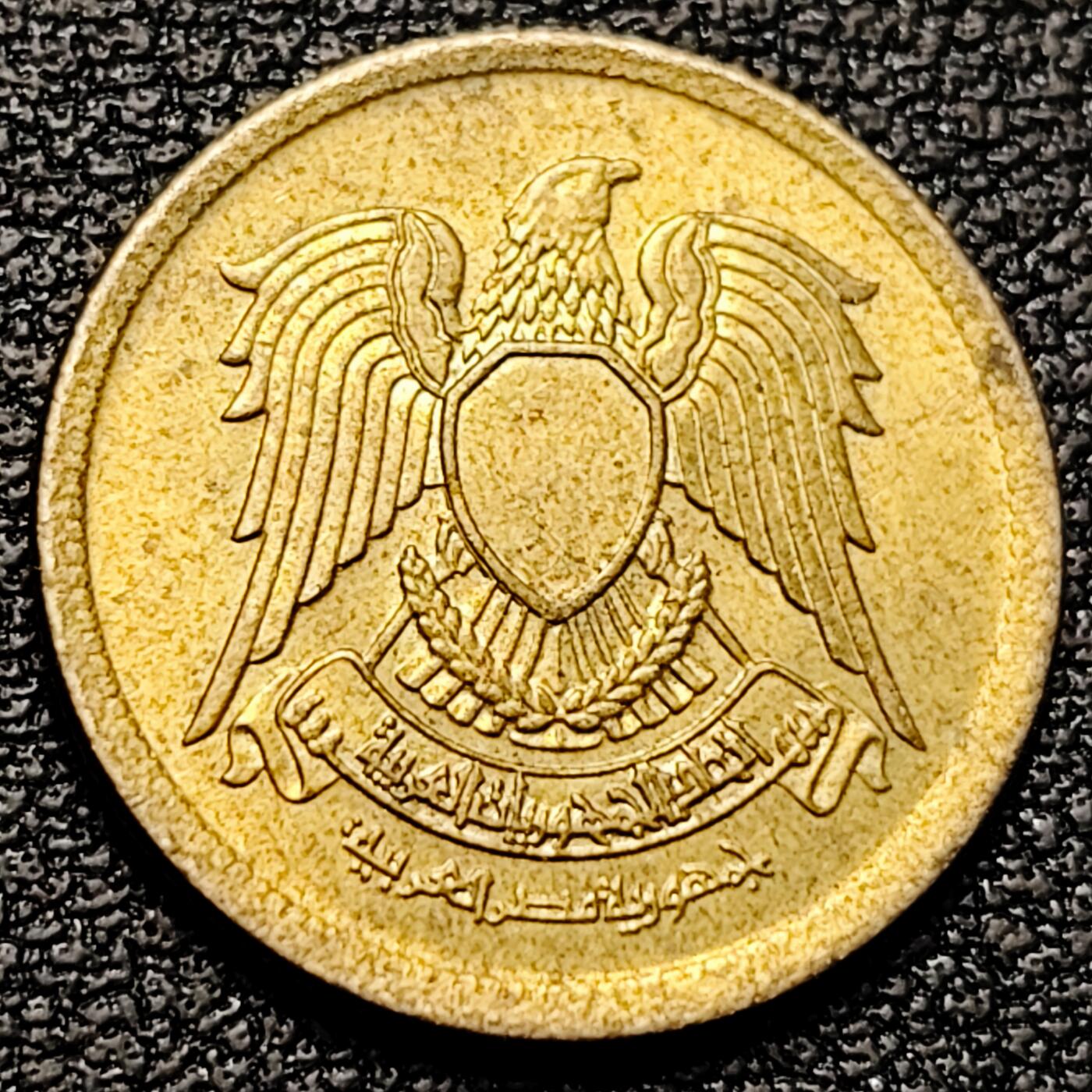 泉币菌-第179场- 精品福利场