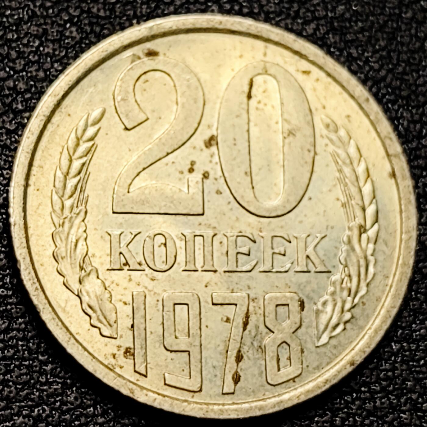 泉币菌-第179场- 精品福利场