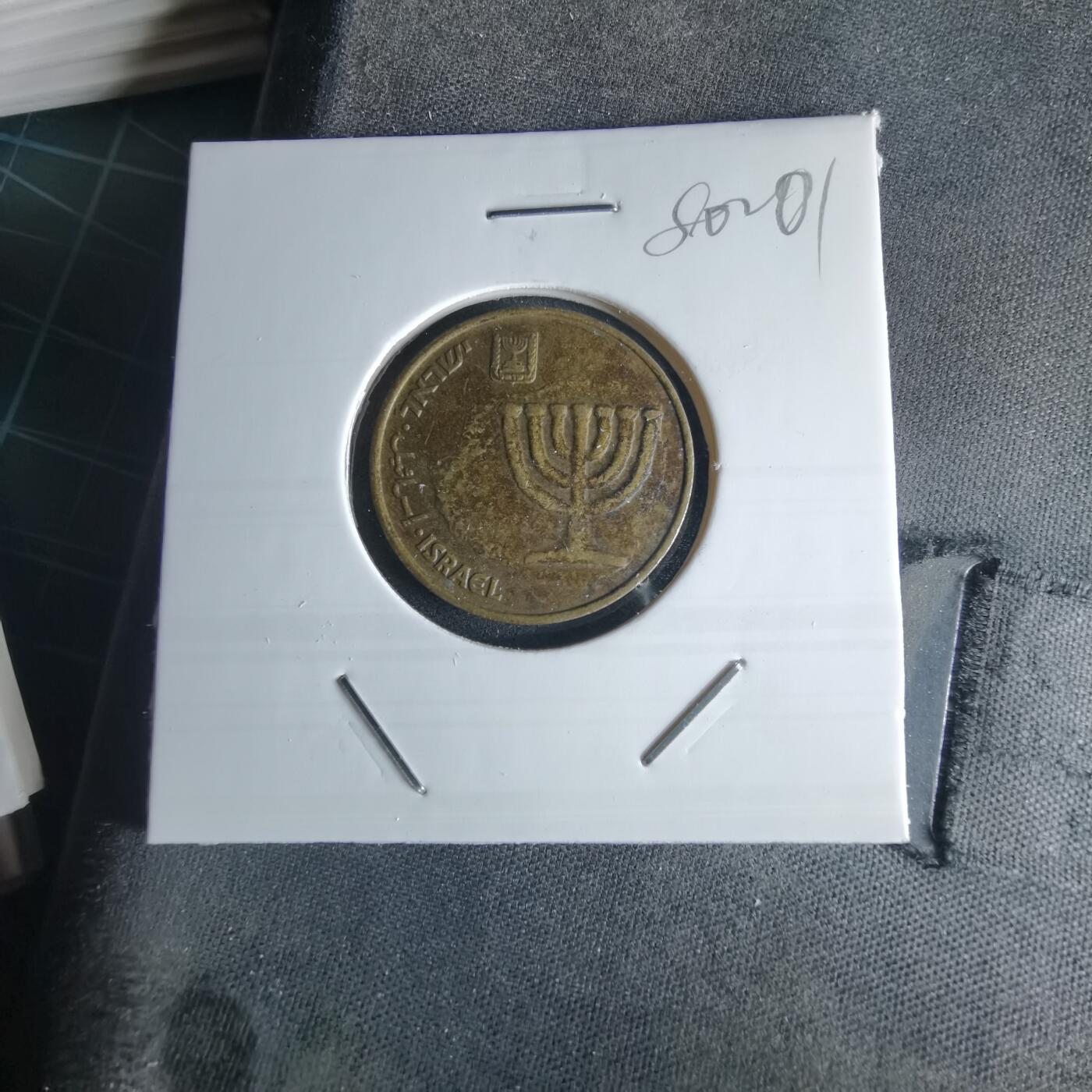 沼泽如烟--第980场