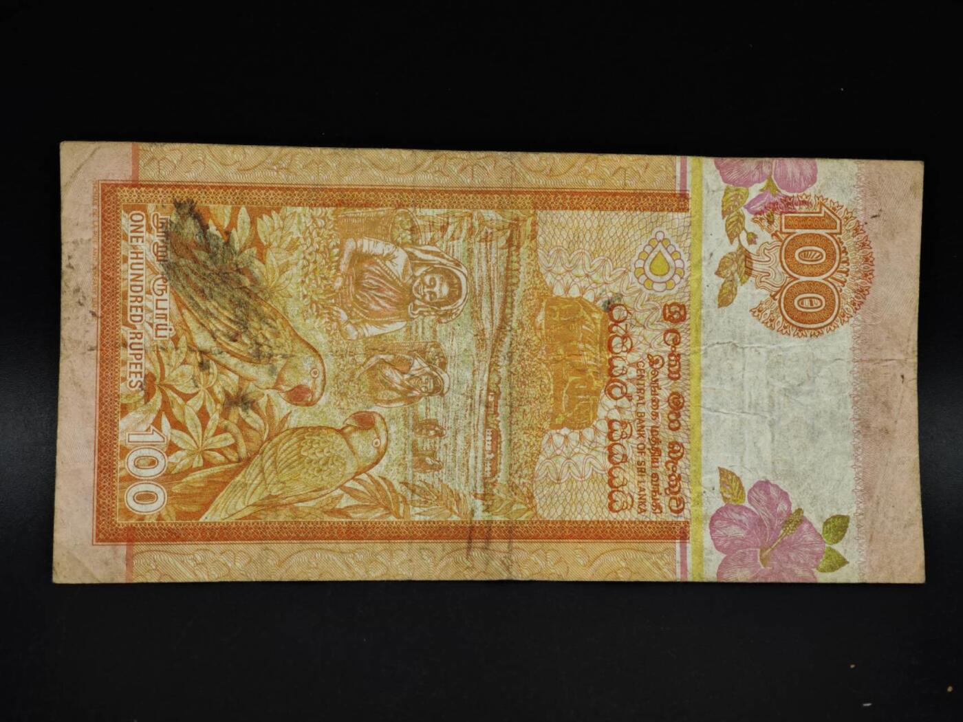 【淘币小摊】实时拍第八百五十六拍   无佣金福利纸币场   满百包邮可预留二周 每周一统一发货   斯里兰卡100卢比纸币【有折】