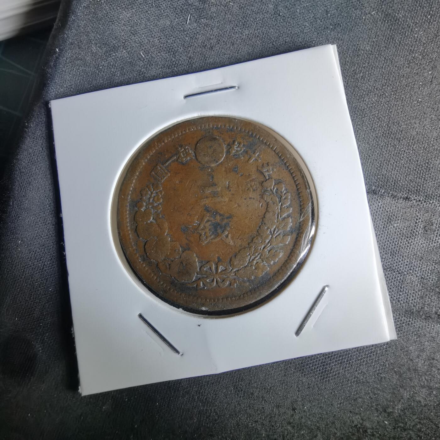 沼泽如烟--第980场