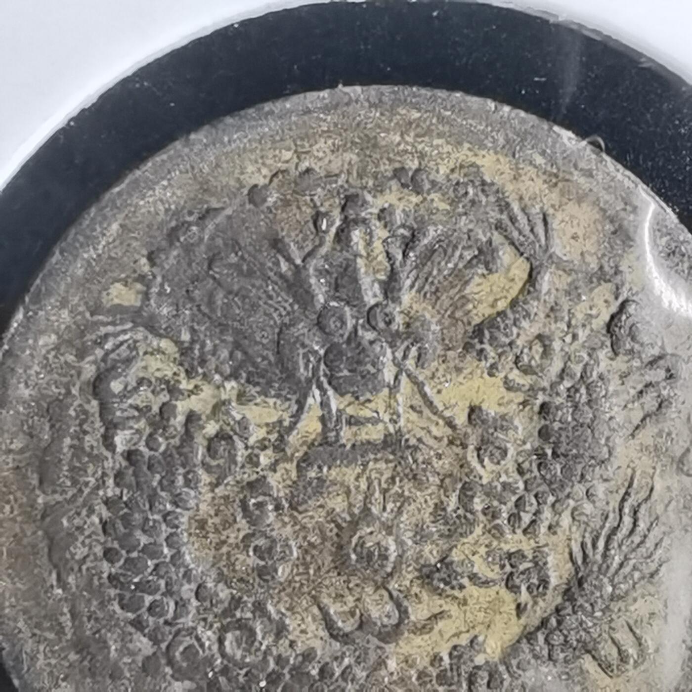 沼泽如烟--第980场