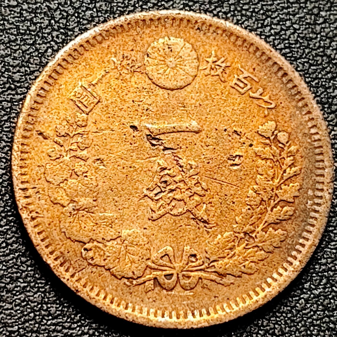 泉币菌-第179场- 精品福利场