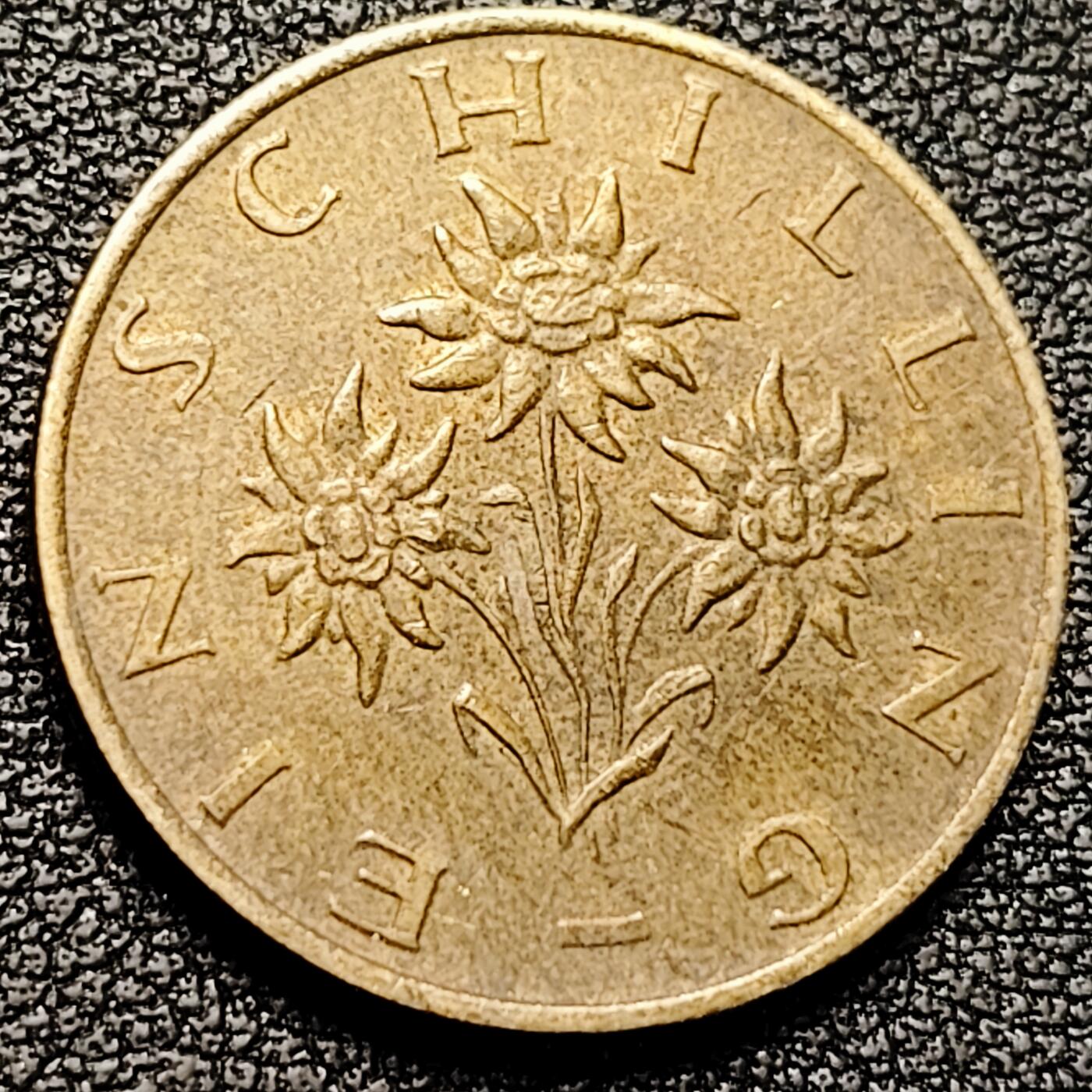 泉币菌-第179场- 精品福利场 。