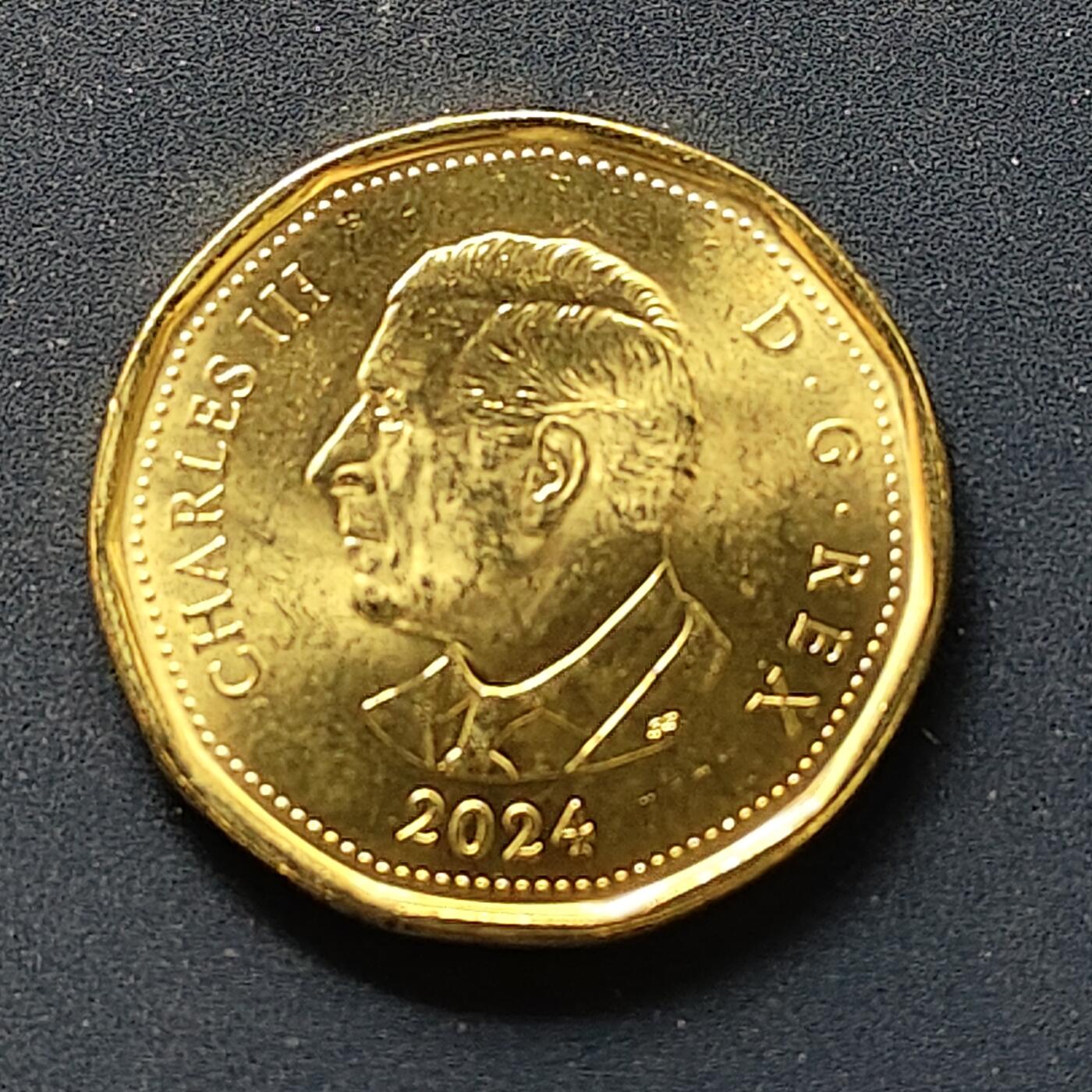 【全场包邮】纯粹捡漏拍498场-持续更新中 加拿大2024年1元儿童文学家L M·蒙哥马利诞生150周年彩色纪念币