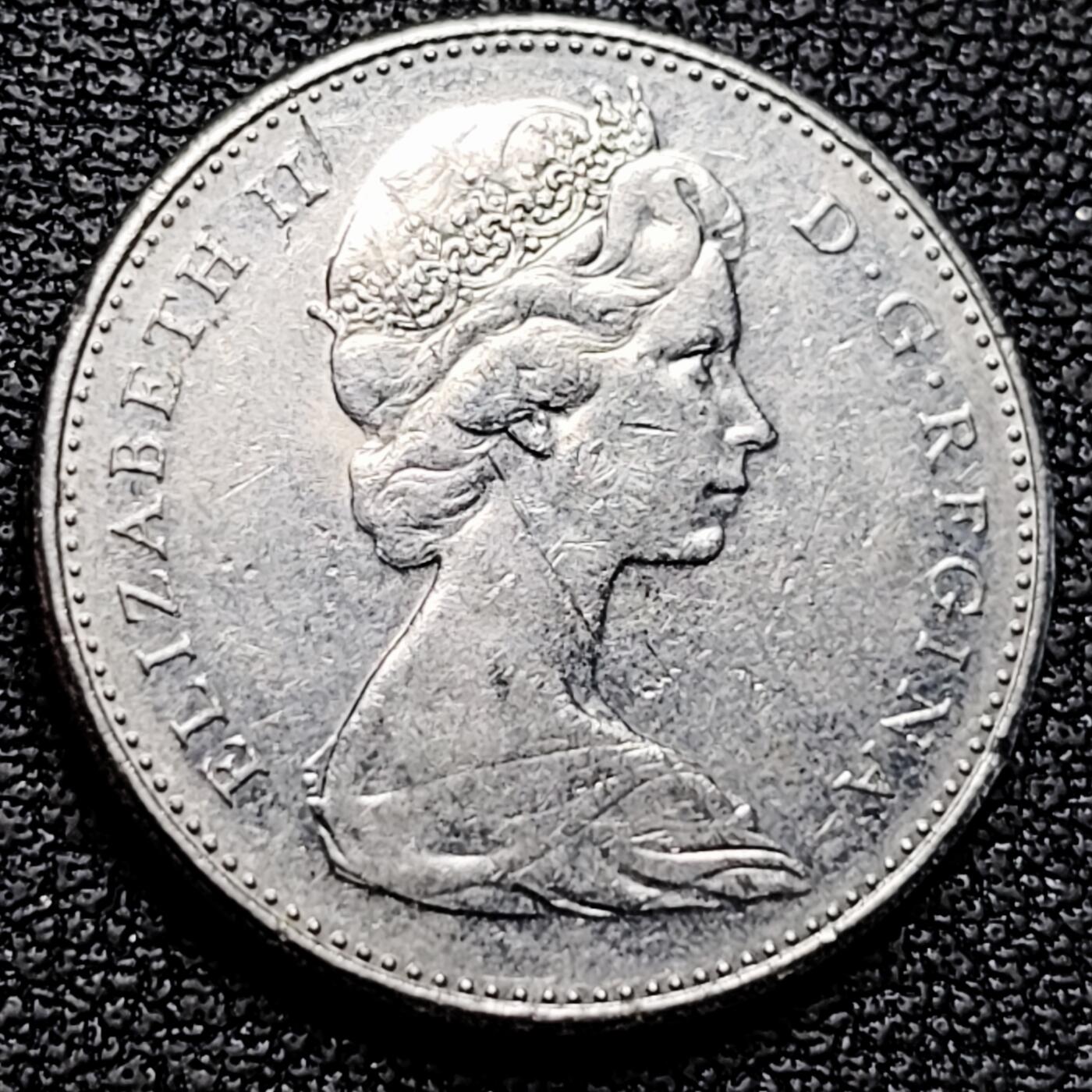 泉币菌-第179场- 精品福利场