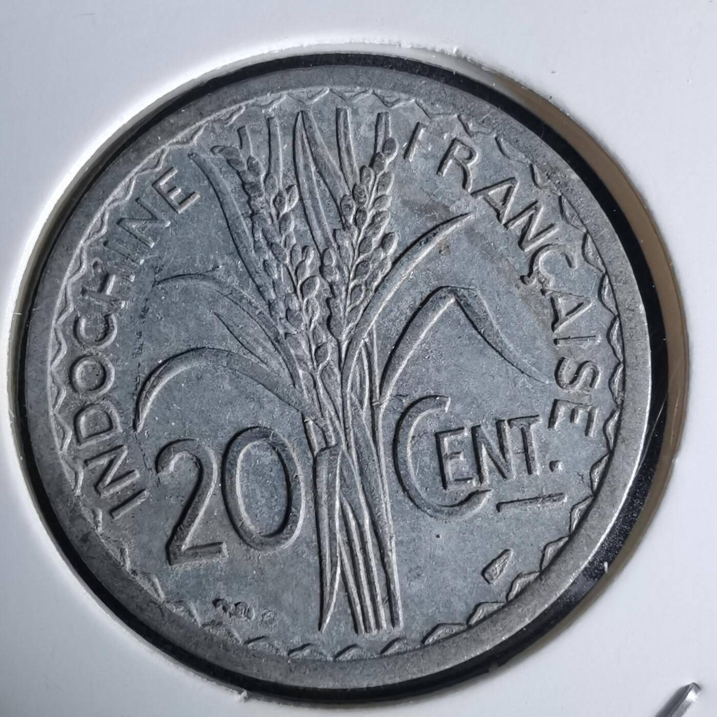 沼泽如烟--第980场