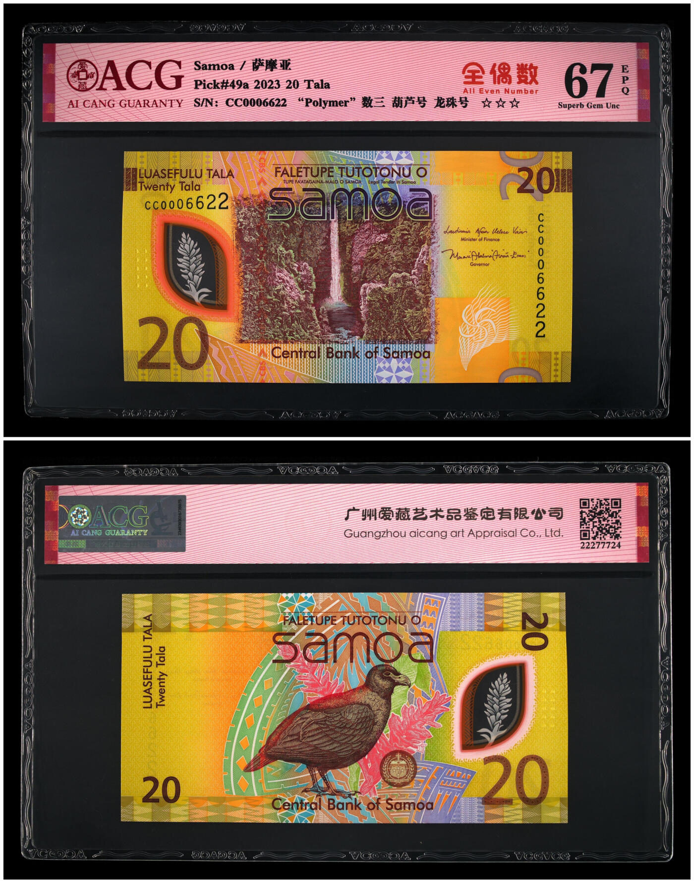 《艾美收藏》第230期-2.1周日外币年前精品场