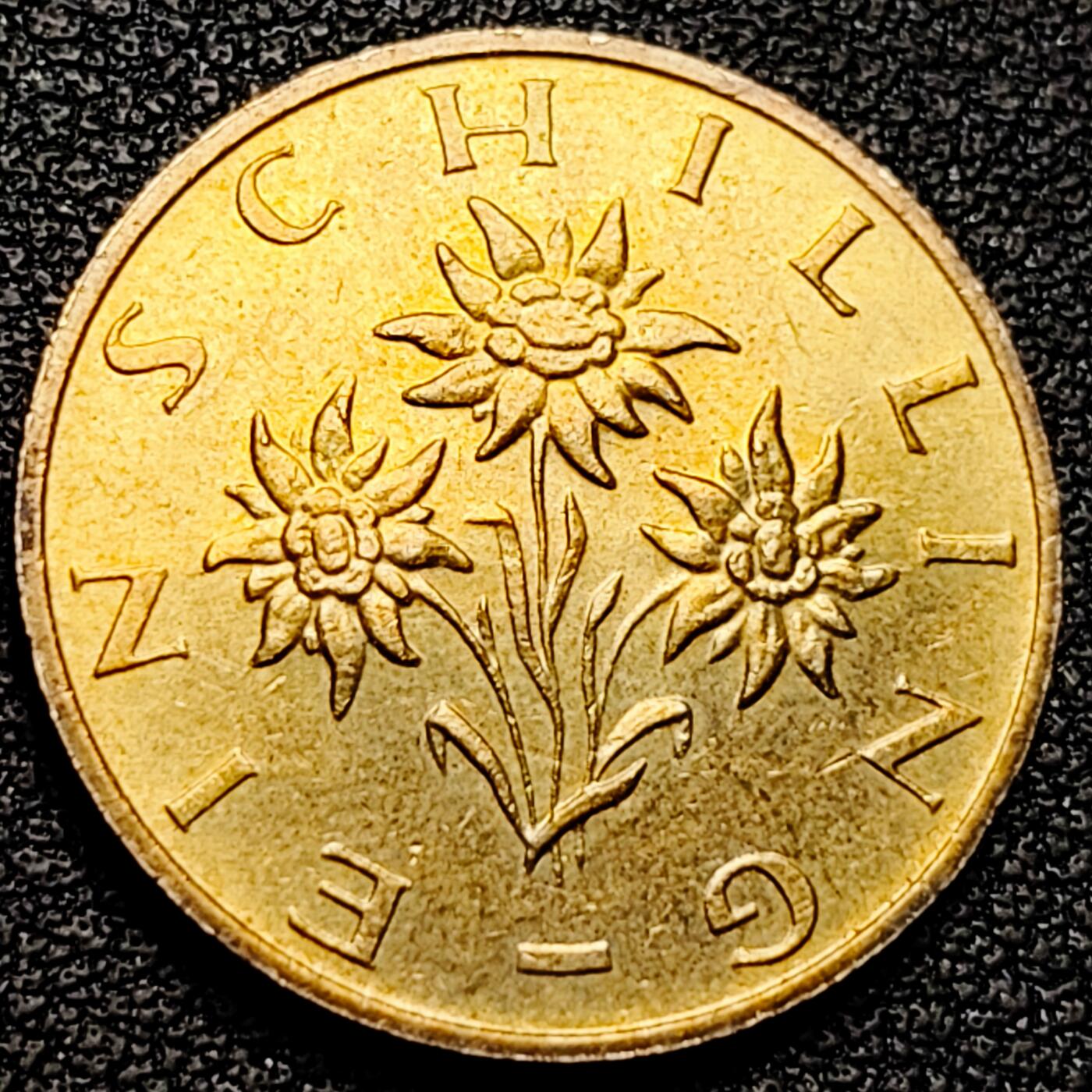 泉币菌-第179场- 精品福利场