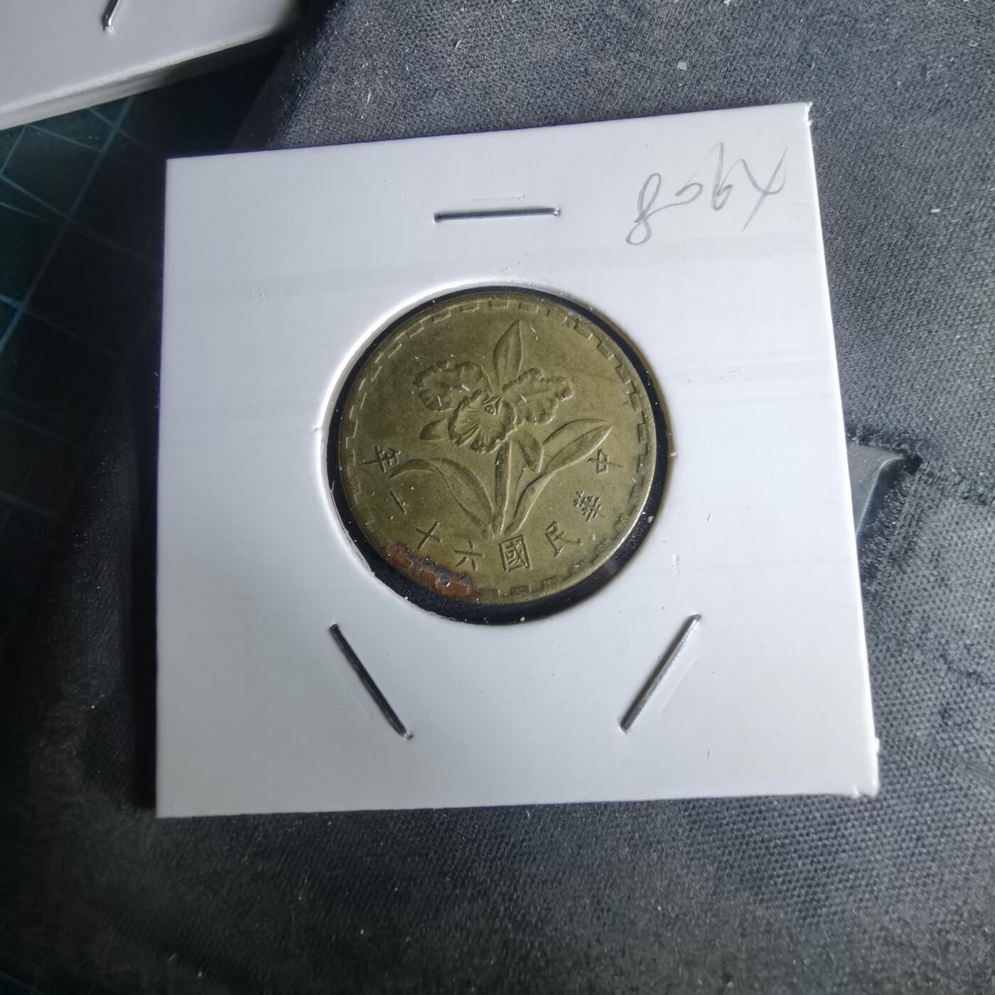 沼泽如烟--第980场