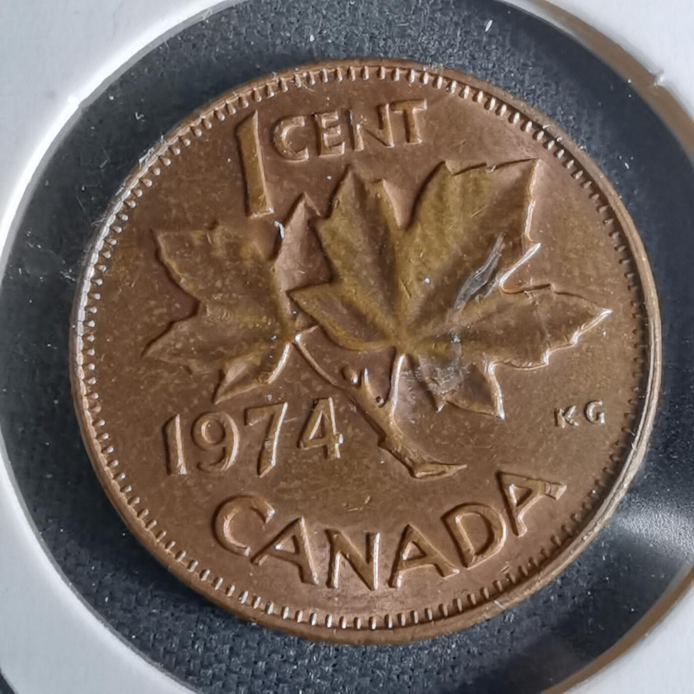 沼泽如烟--第979场