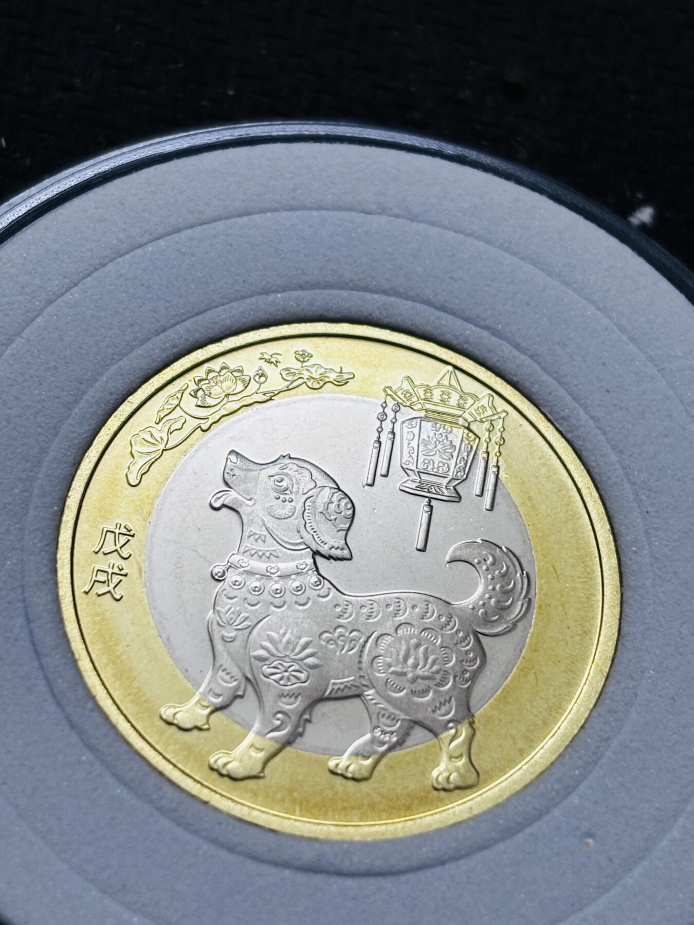 文馨钱币收藏 2026新年第五场（第 291 场）【长期接代拍品】 全新狗年纪念币十元