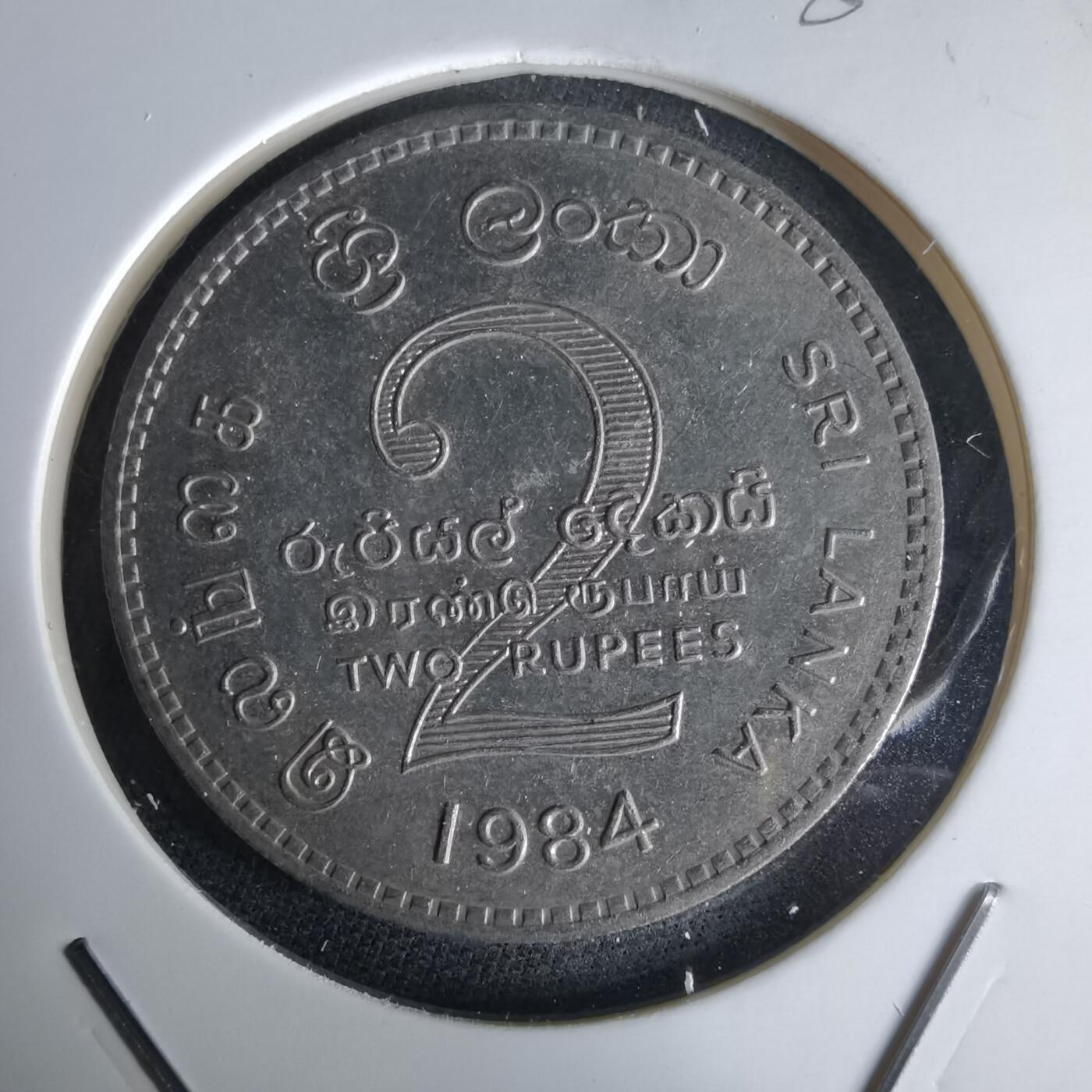 沼泽如烟--第980场