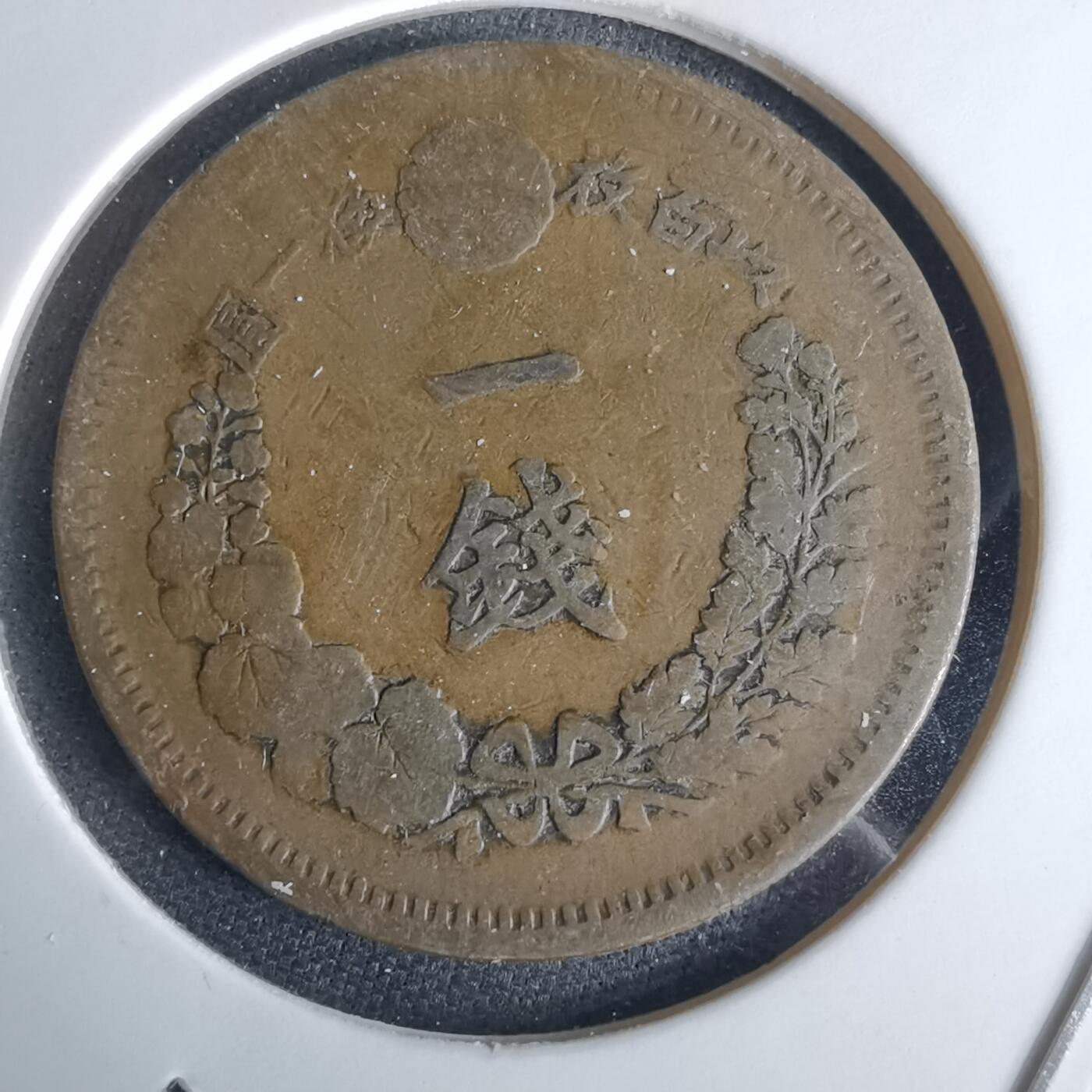 沼泽如烟--第980场