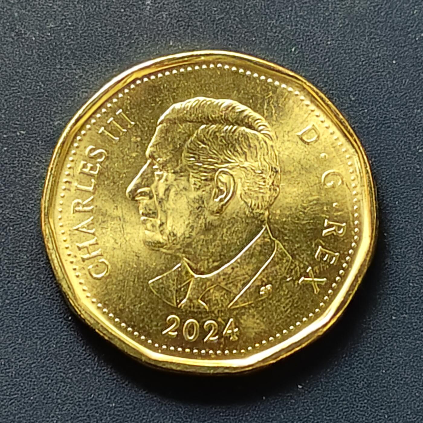 【全场包邮】纯粹捡漏拍498场-持续更新中 加拿大2024年1元儿童文学家L M·蒙哥马利诞生150周年彩色纪念币-2