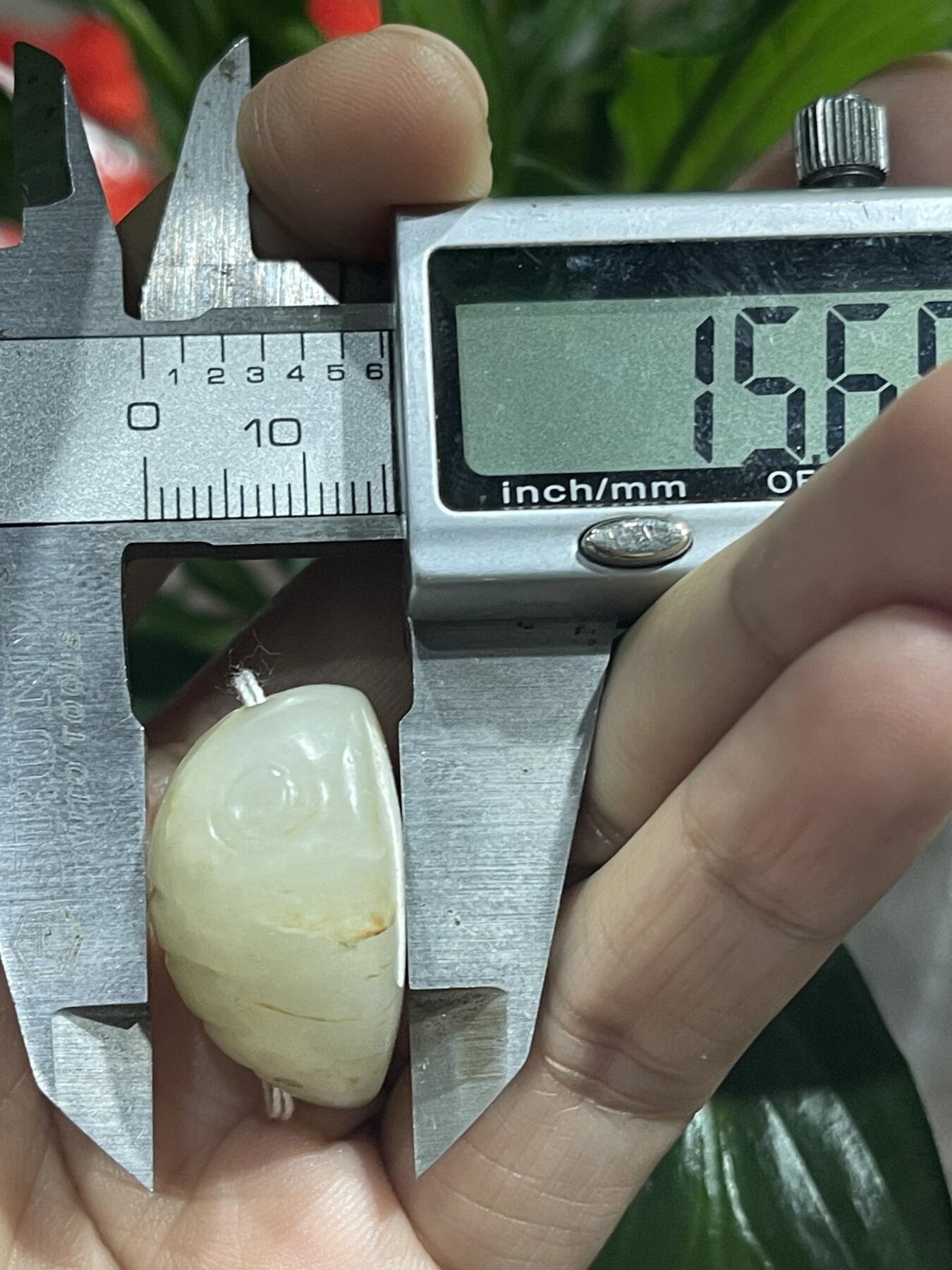 喵了个咪的第二期玉器杂项拍卖 和田玉蝉