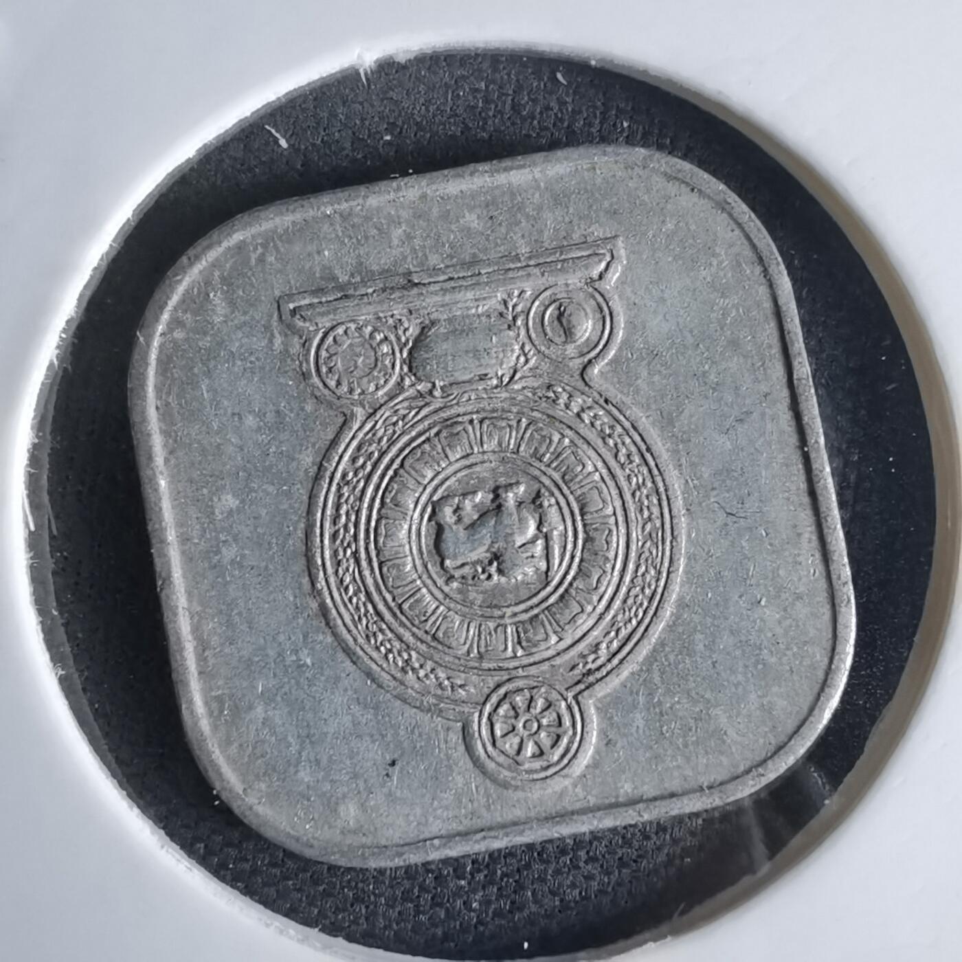 沼泽如烟--第980场