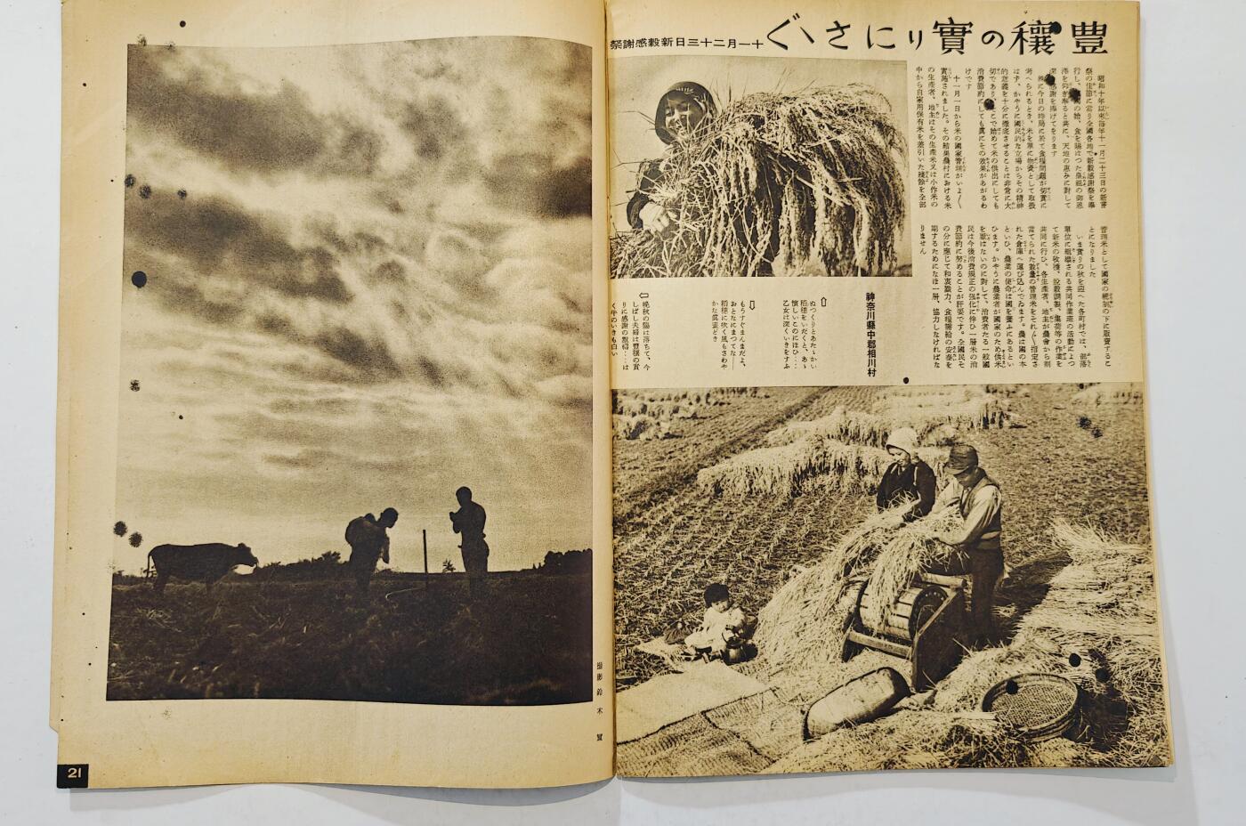 东亚勋章徽章主题拍卖7（80件） 战时日本情报局写真周报（一本周报20页左右 只展示部分）（南洋神社）