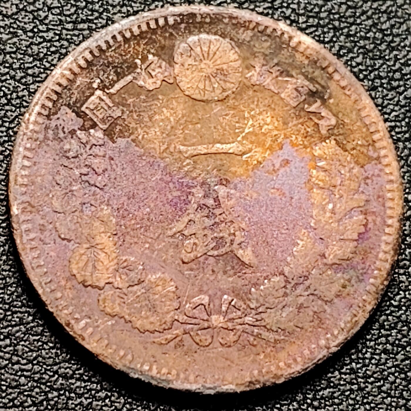 泉币菌-第179场- 精品福利场