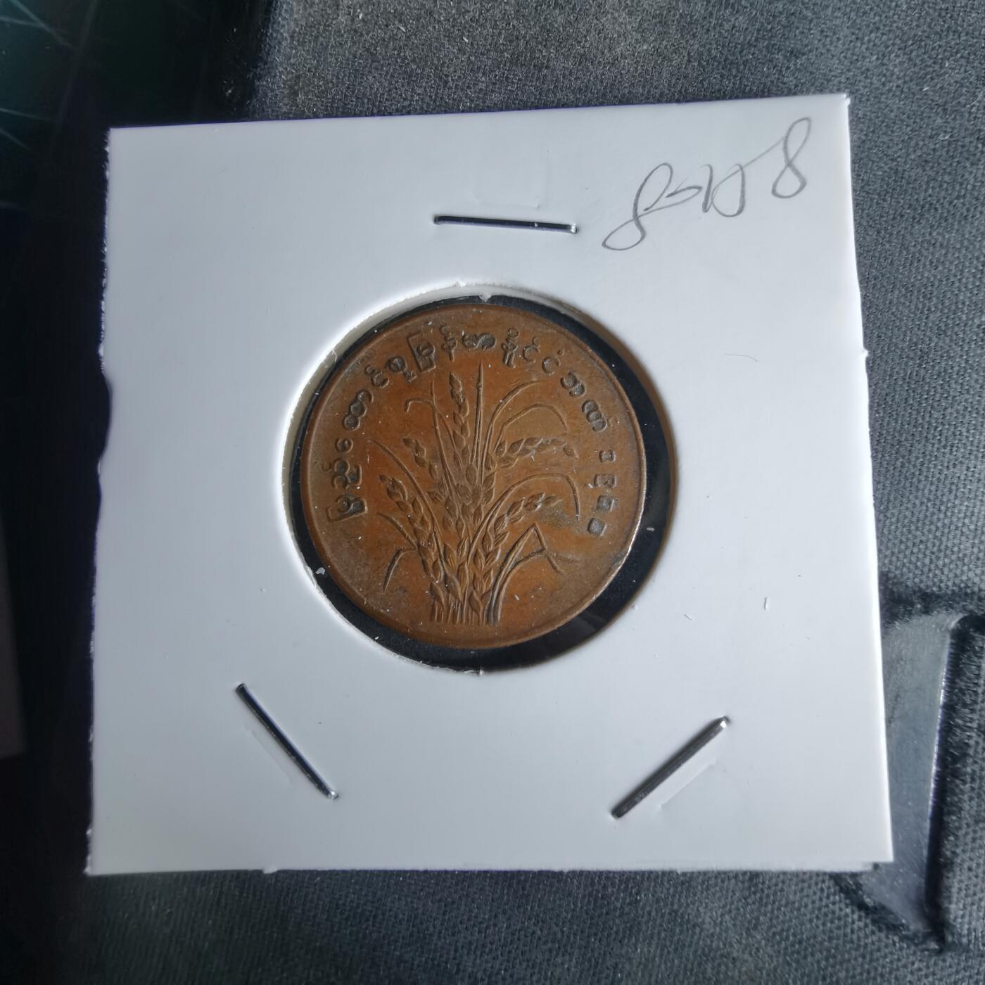 沼泽如烟--第980场