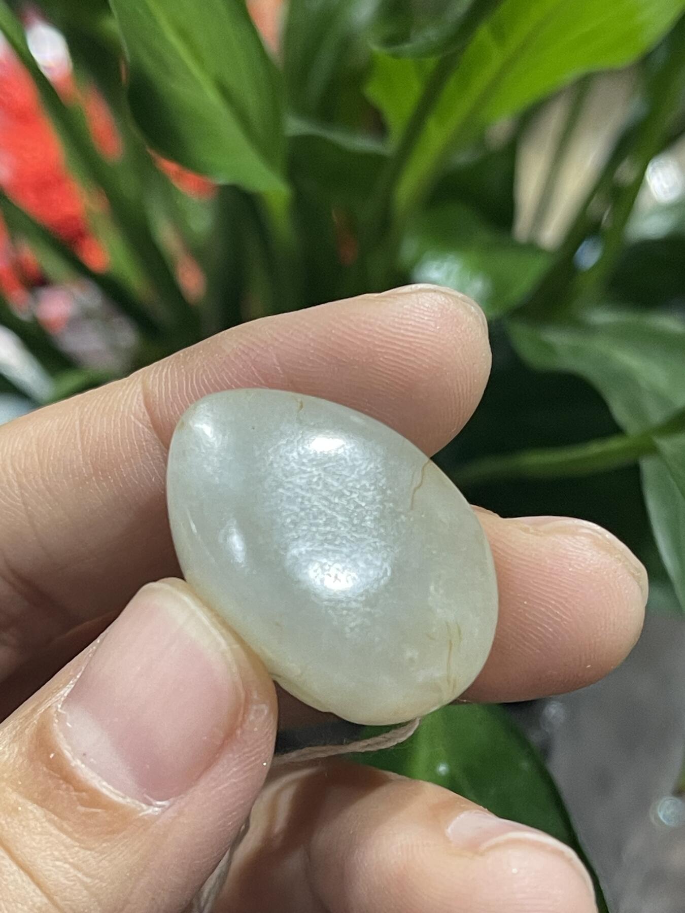 喵了个咪的第二期玉器杂项拍卖 和田玉蝉