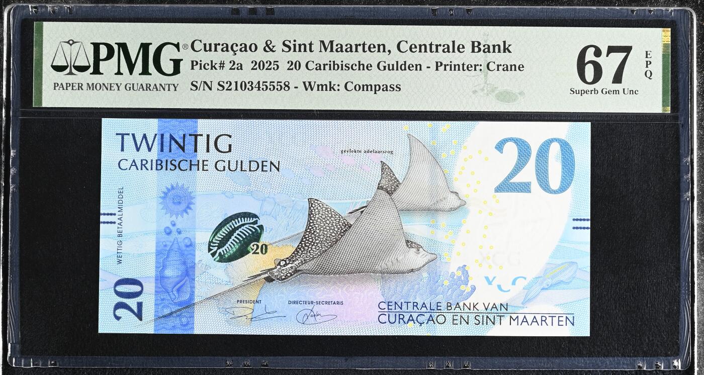 《艾美收藏》第230期-2.1周日外币年前精品场