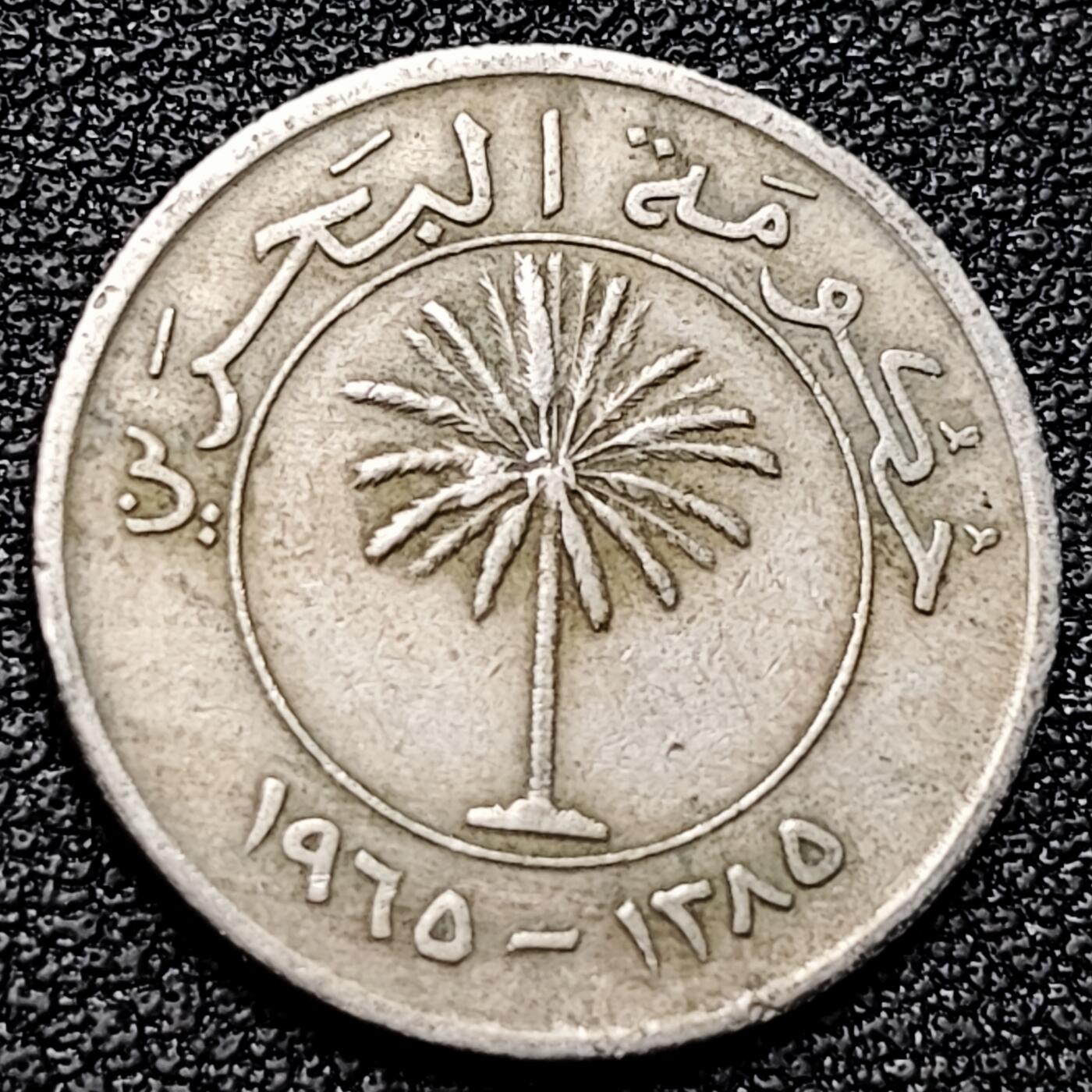 泉币菌-第179场- 精品福利场 。