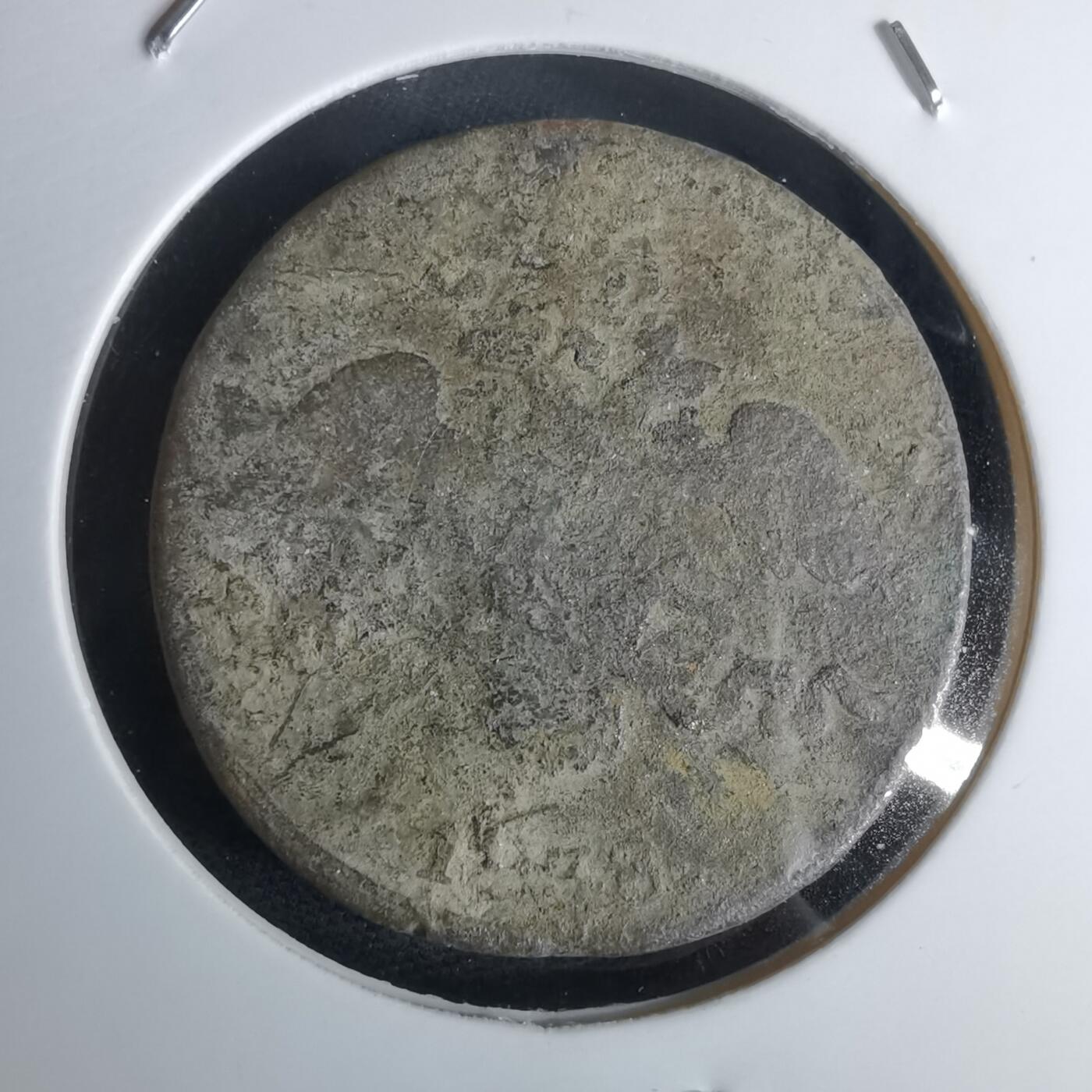 沼泽如烟--第980场