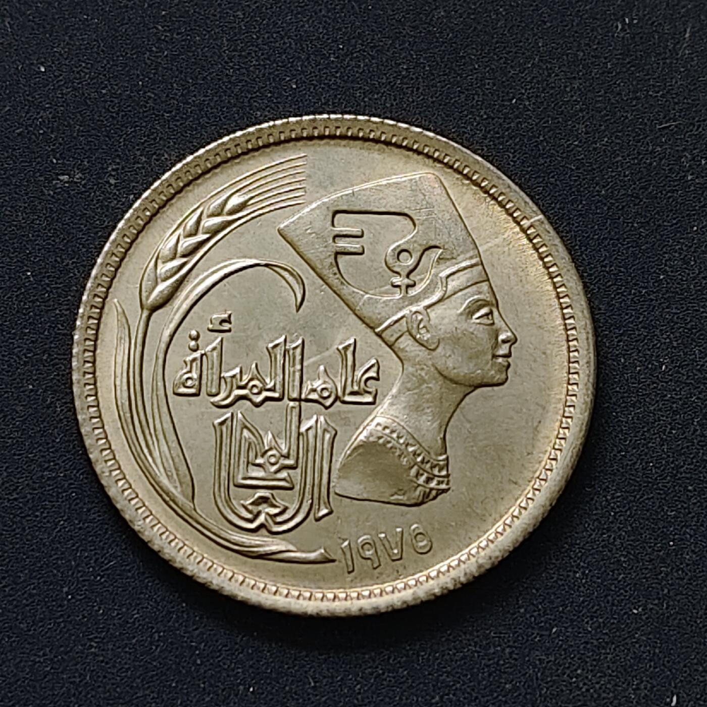 【全场包邮】纯粹捡漏拍498场-持续更新中