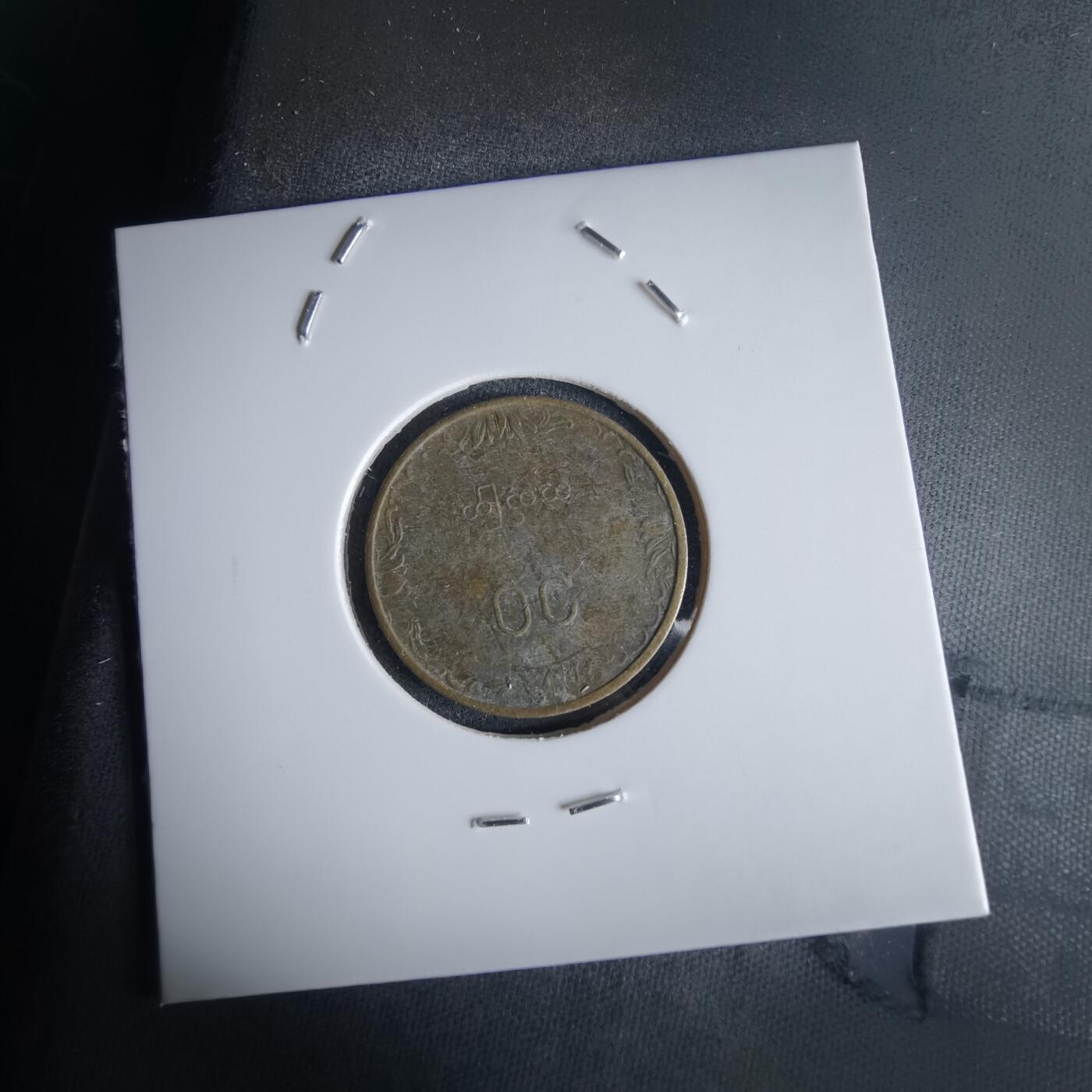 沼泽如烟--第980场