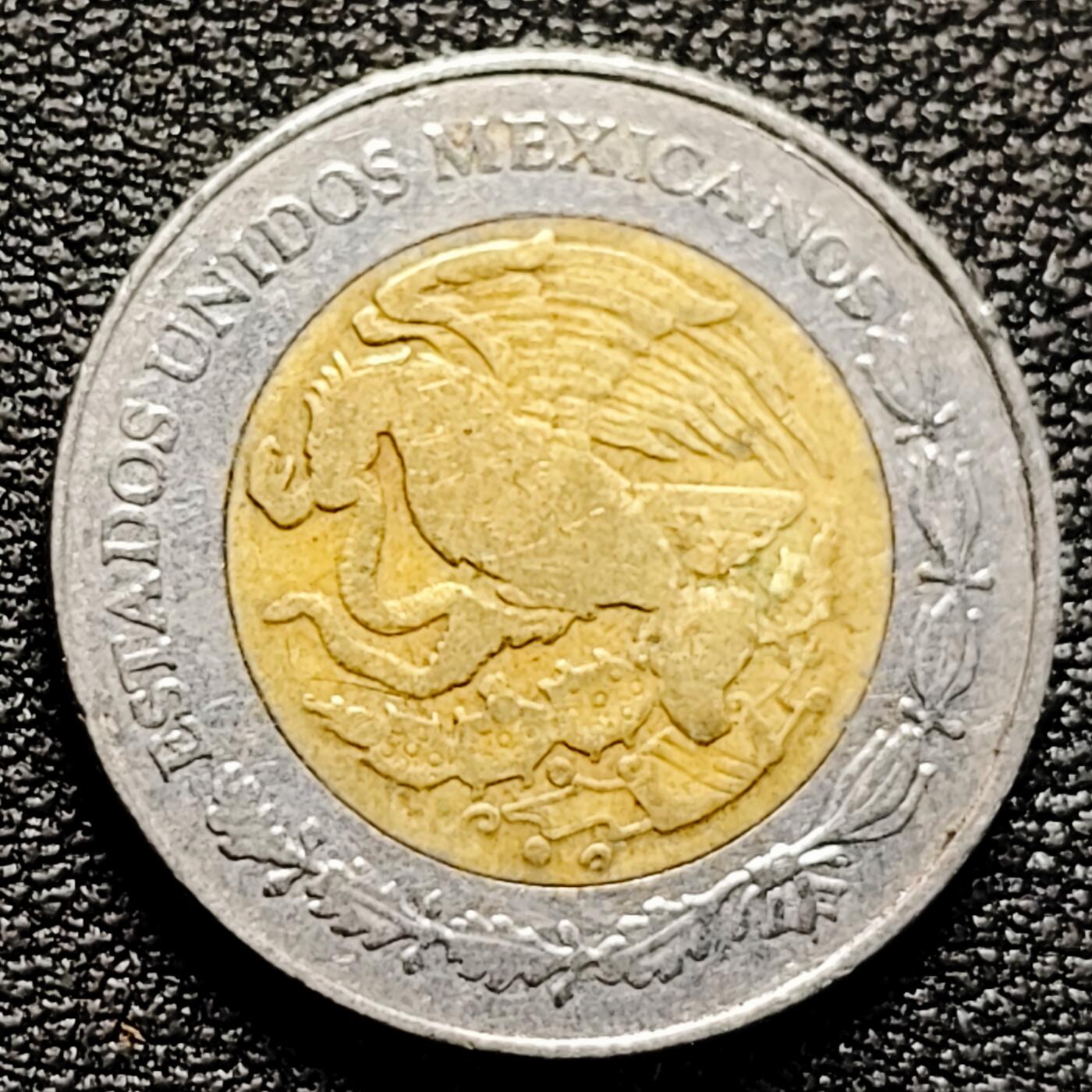 泉币菌-第179场- 精品福利场 。