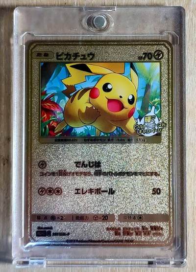 春节前倒数第二场！！龙虎卡牌-七四场（满200元包邮，无佣金，每周六结拍，欢迎送拍） - 金属卡带磁吸卡砖 宝可梦系列 皮卡丘