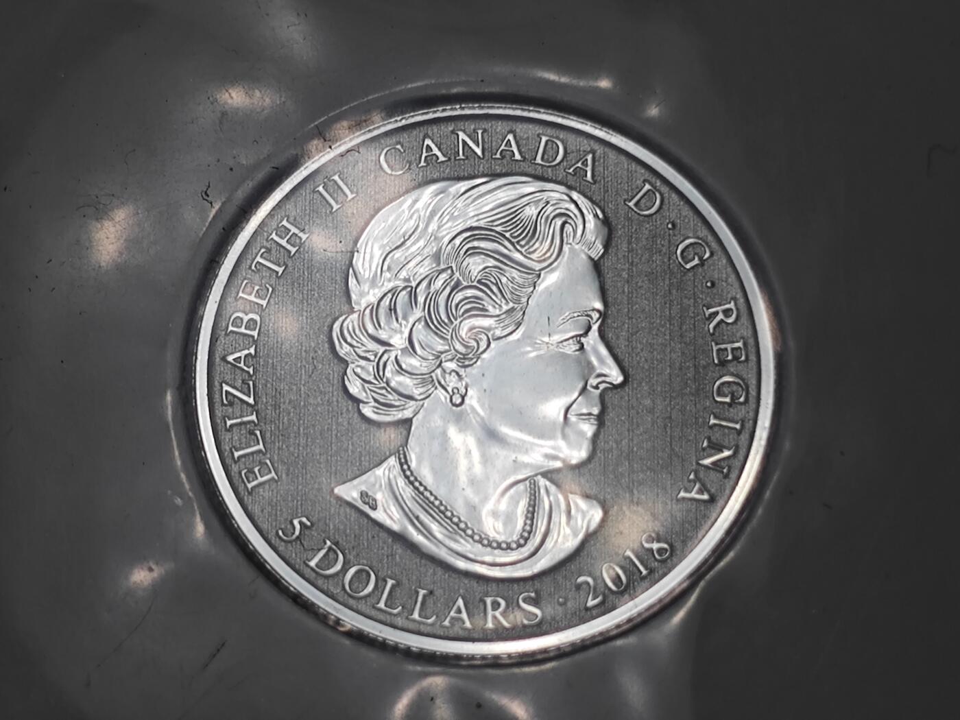 KK钱币收藏小铺  第400期  百期特拍（四拍之四）2月预留时间 周末发货