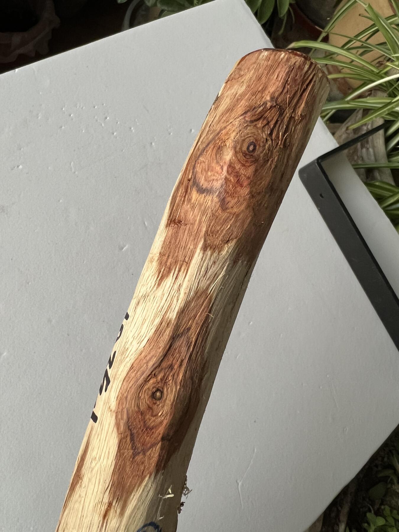 零元拍：NO.35-1 海南黄花梨珠子料，全是水汪汪的大眼睛，325/35MM