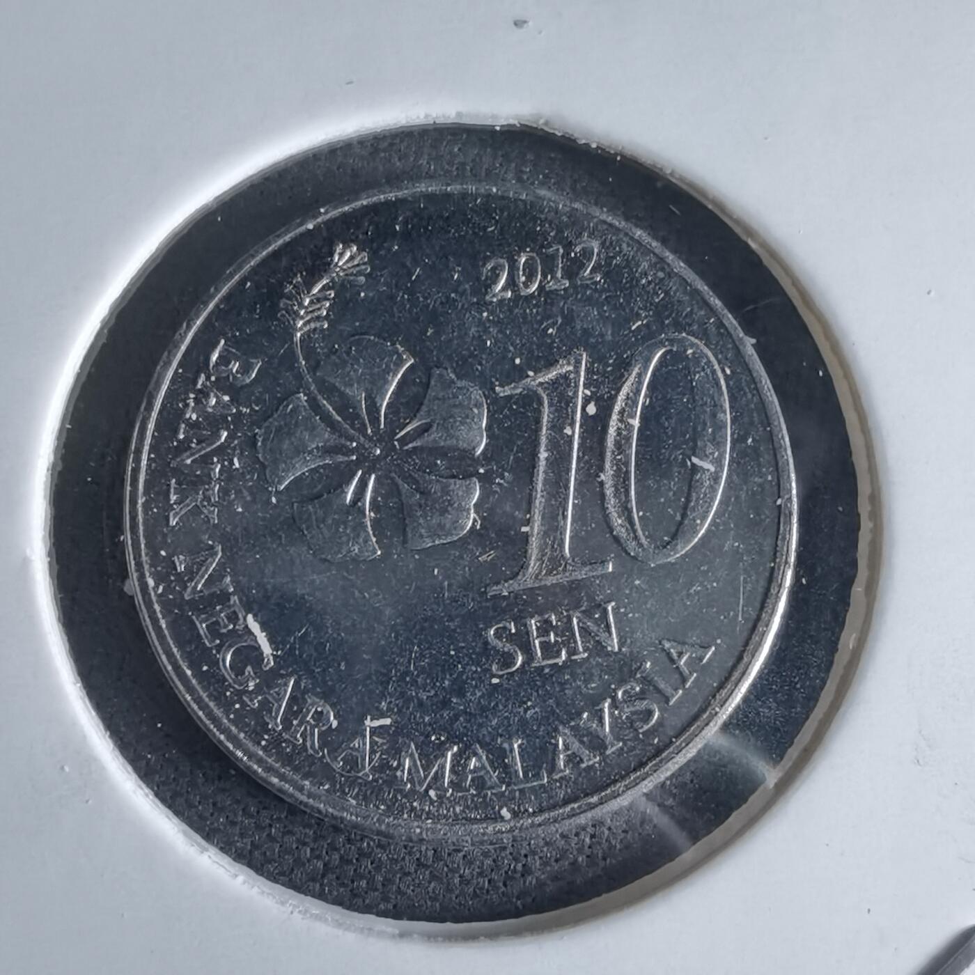 沼泽如烟--第980场