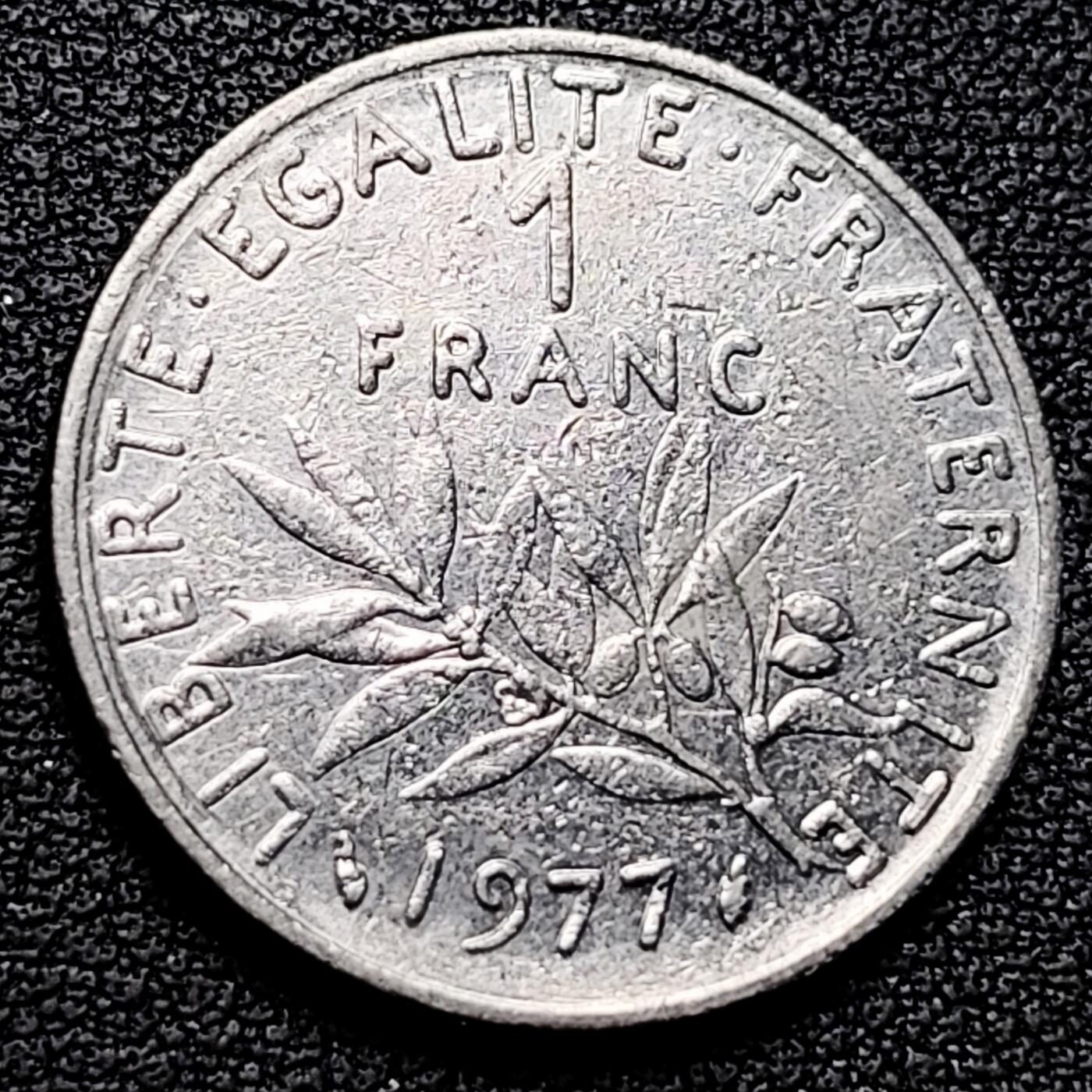 泉币菌-第179场- 精品福利场