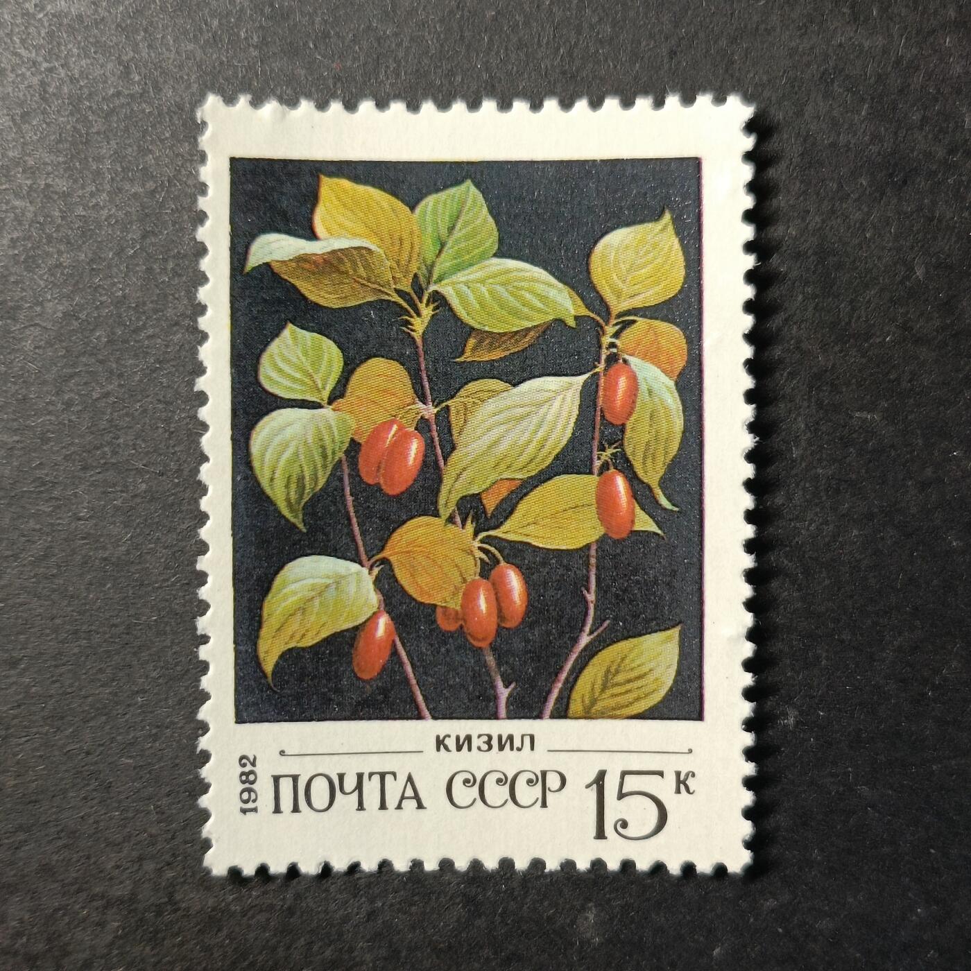 嘉禾收藏    【第453期】            无佣金、可寄存、满30元包邮 苏联邮票