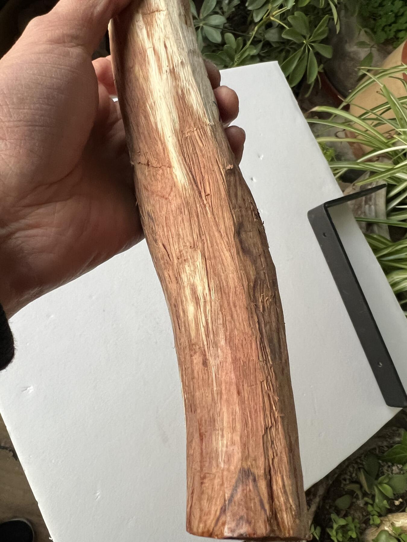 零元拍：NO.35-1 海南黄花梨珠子料，全是水汪汪的大眼睛，325/35MM