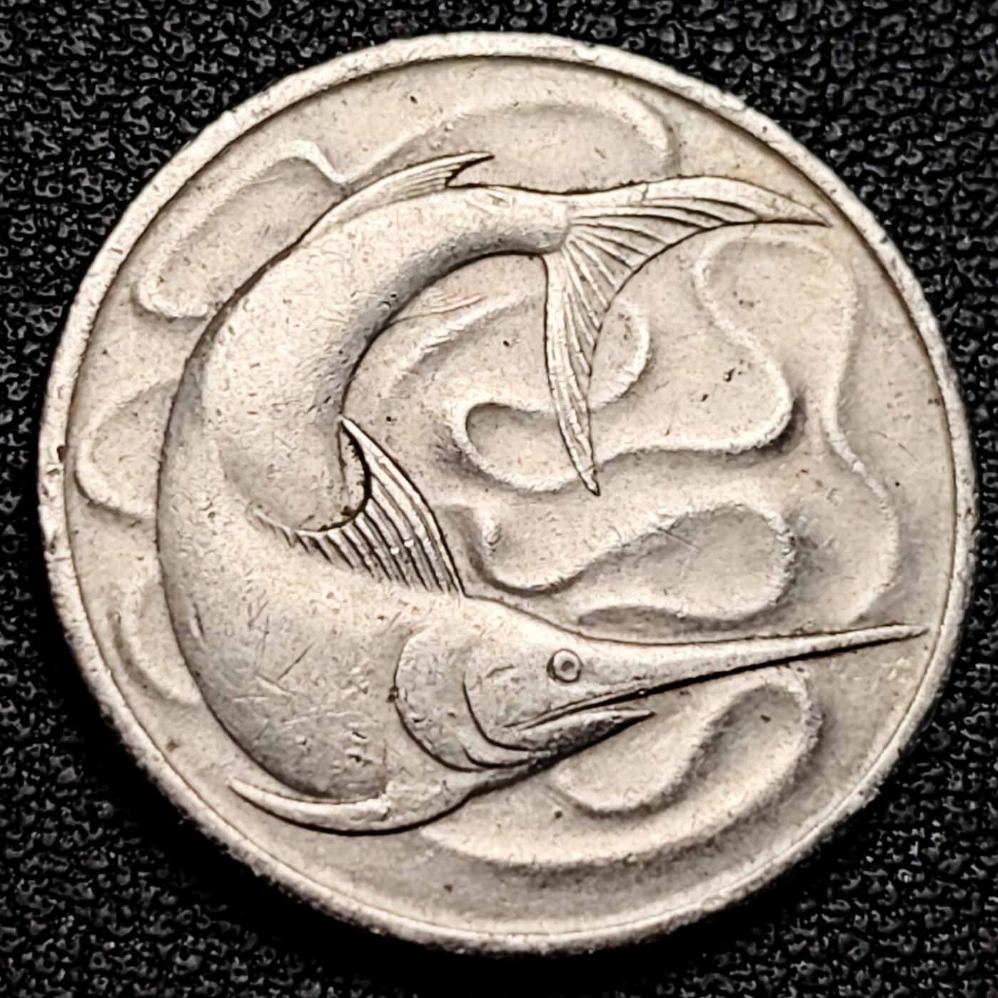 泉币菌-第179场- 精品福利场 。