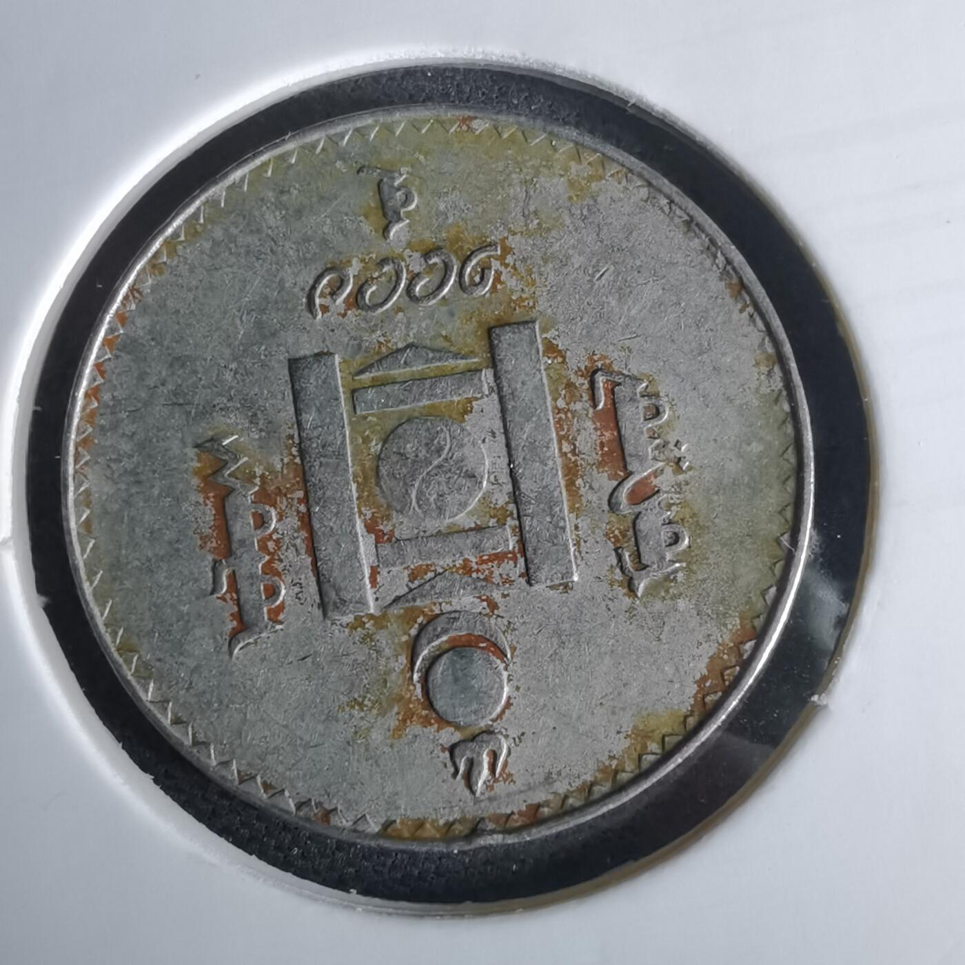 沼泽如烟--第980场