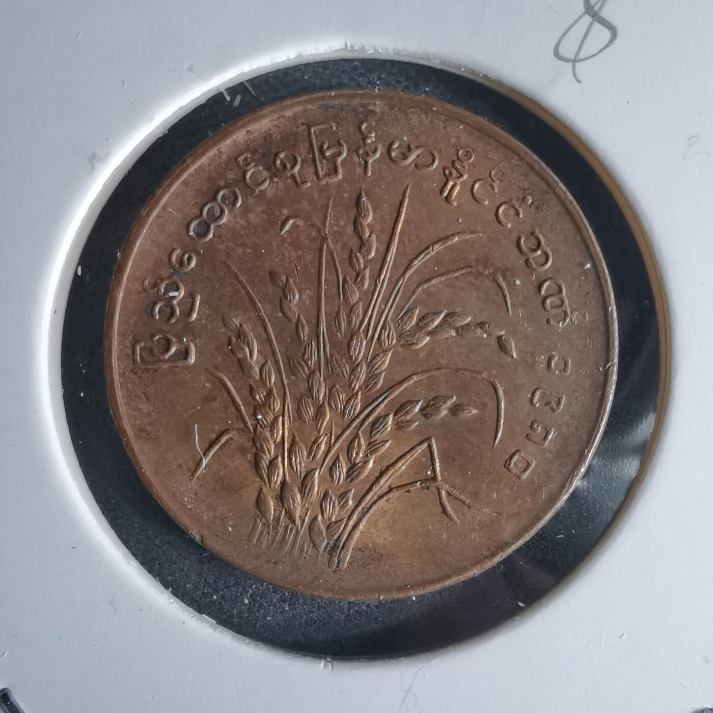 沼泽如烟--第980场