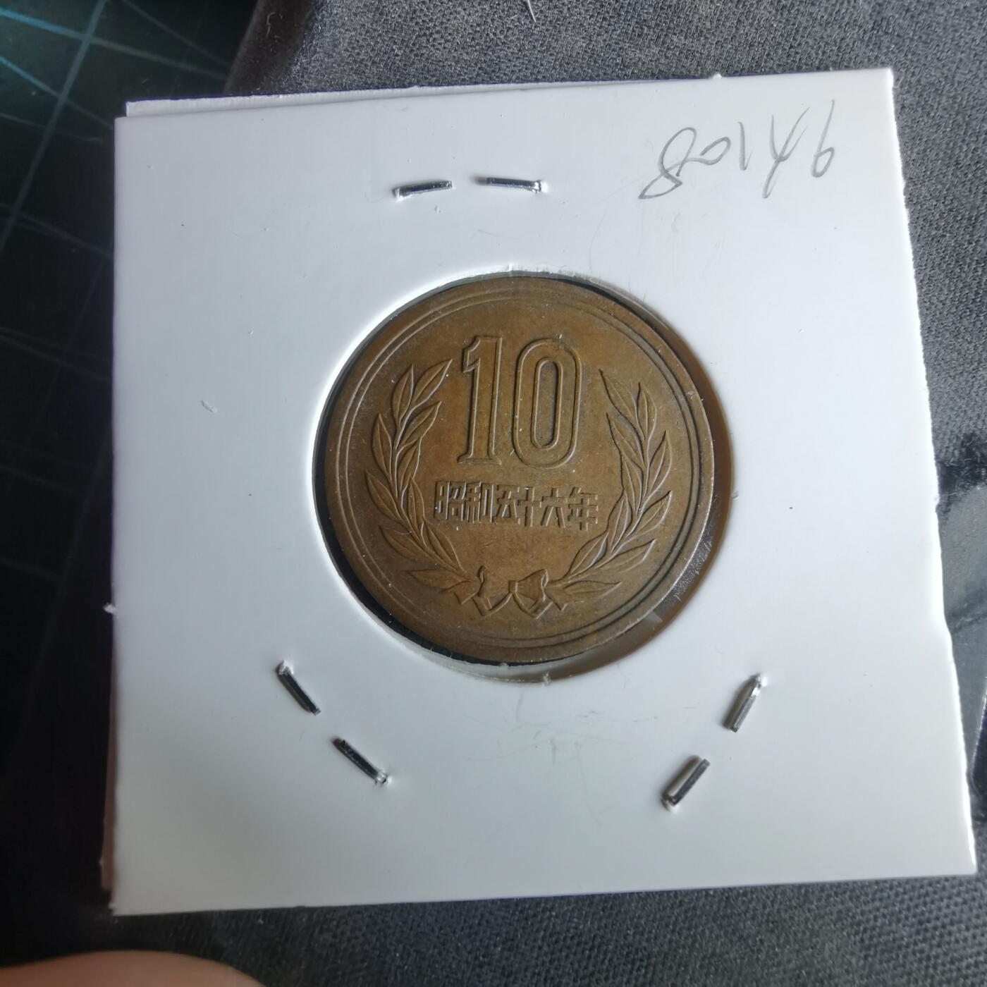 沼泽如烟--第980场