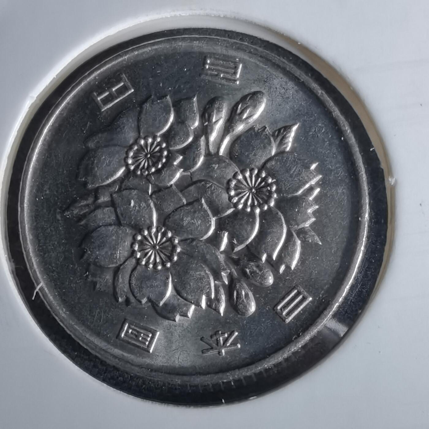 沼泽如烟--第980场